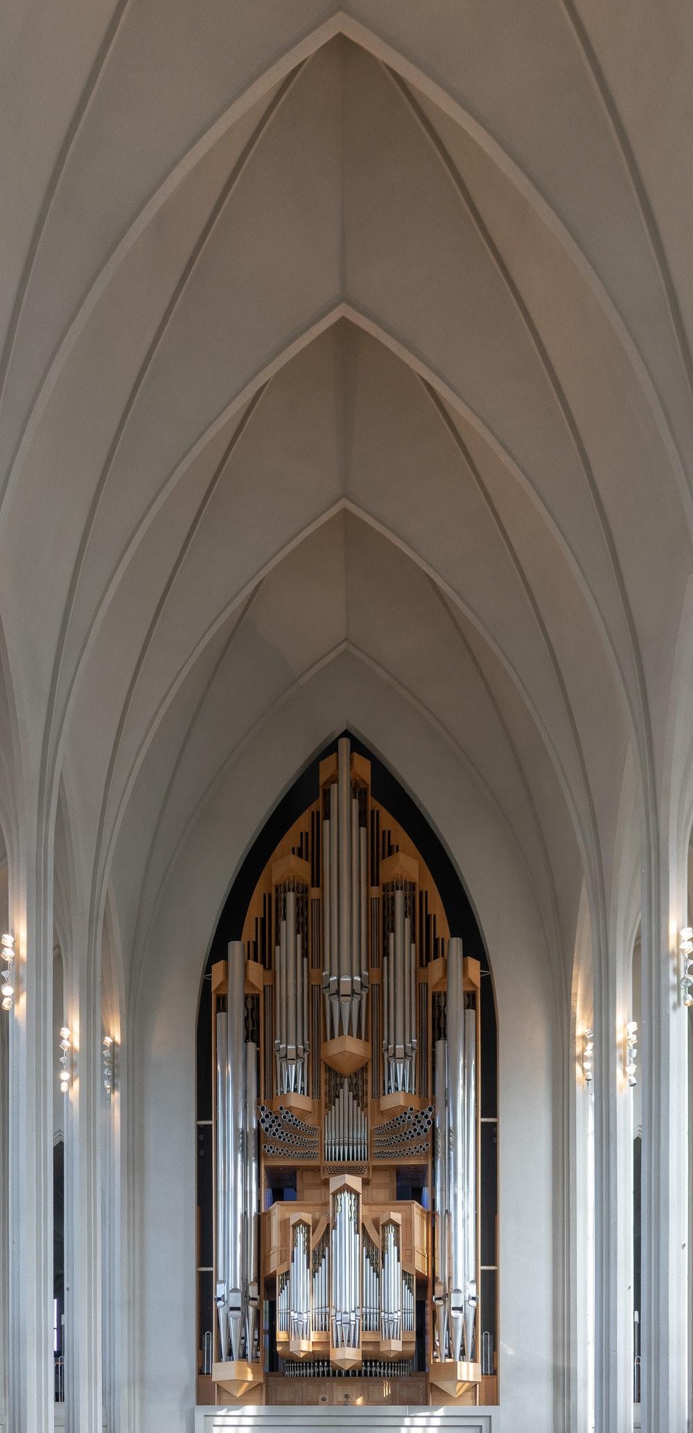 Organ Pictures