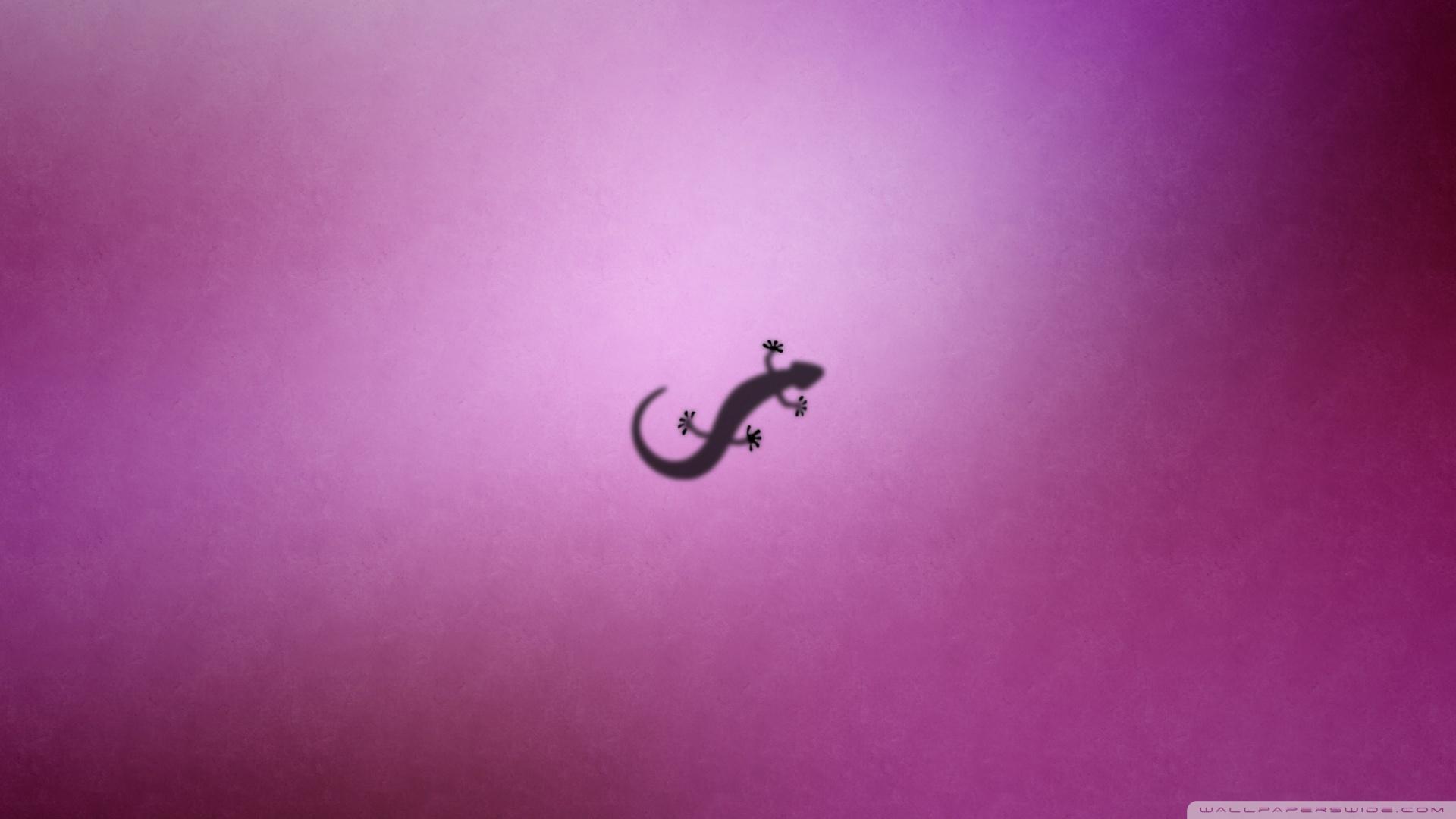 Gecko Wallpapers 0.09 Mb