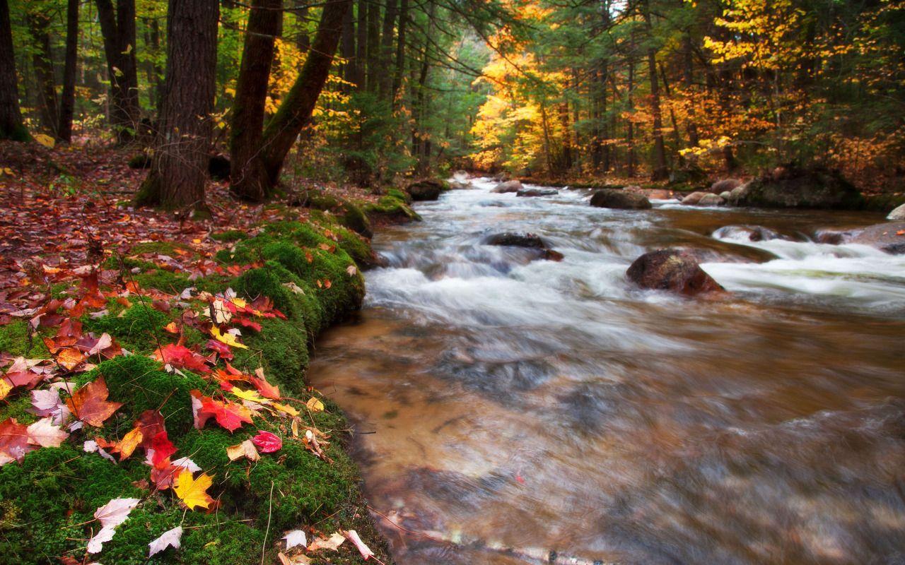 Babbling Brook, United States, New Hampshire, White Mountains