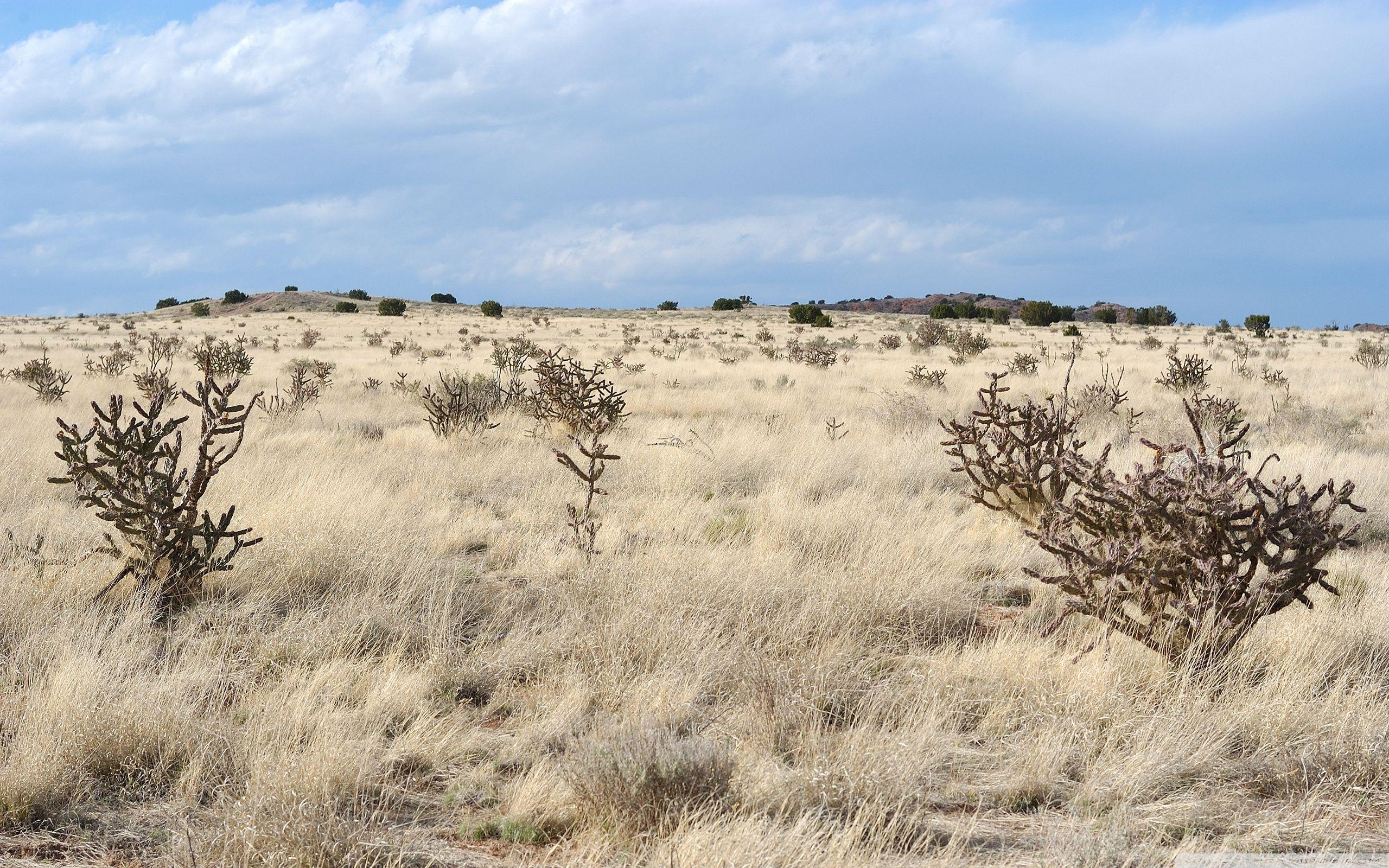 New Mexico Landscape HD desktop wallpapers : High Definition