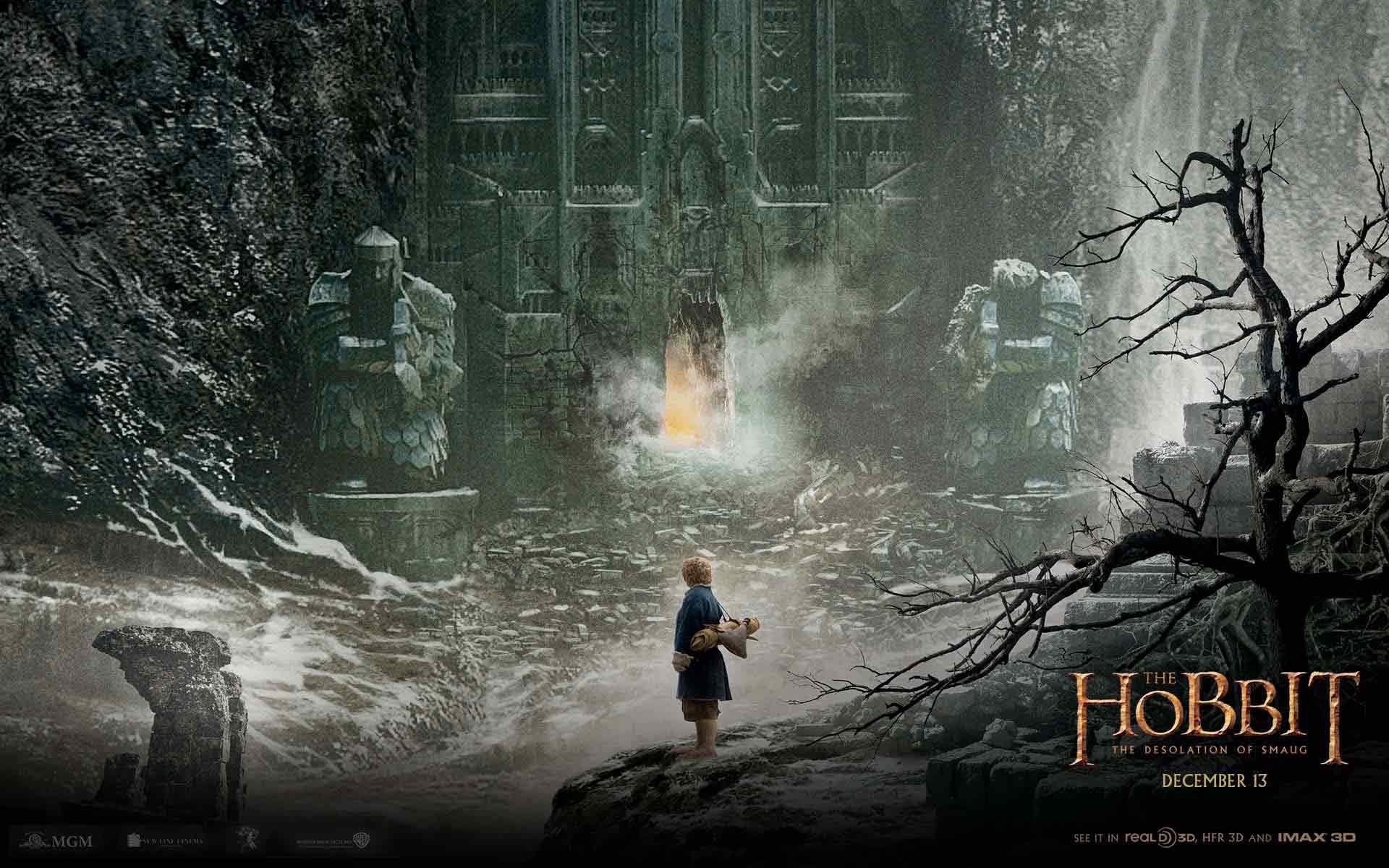 30+ The Hobbit: Desolation of Smaug Wallpapers & Backgrounds