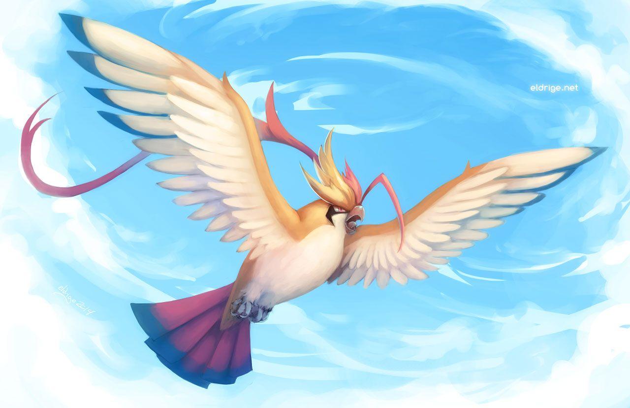 Mega Pidgeot by eldrige