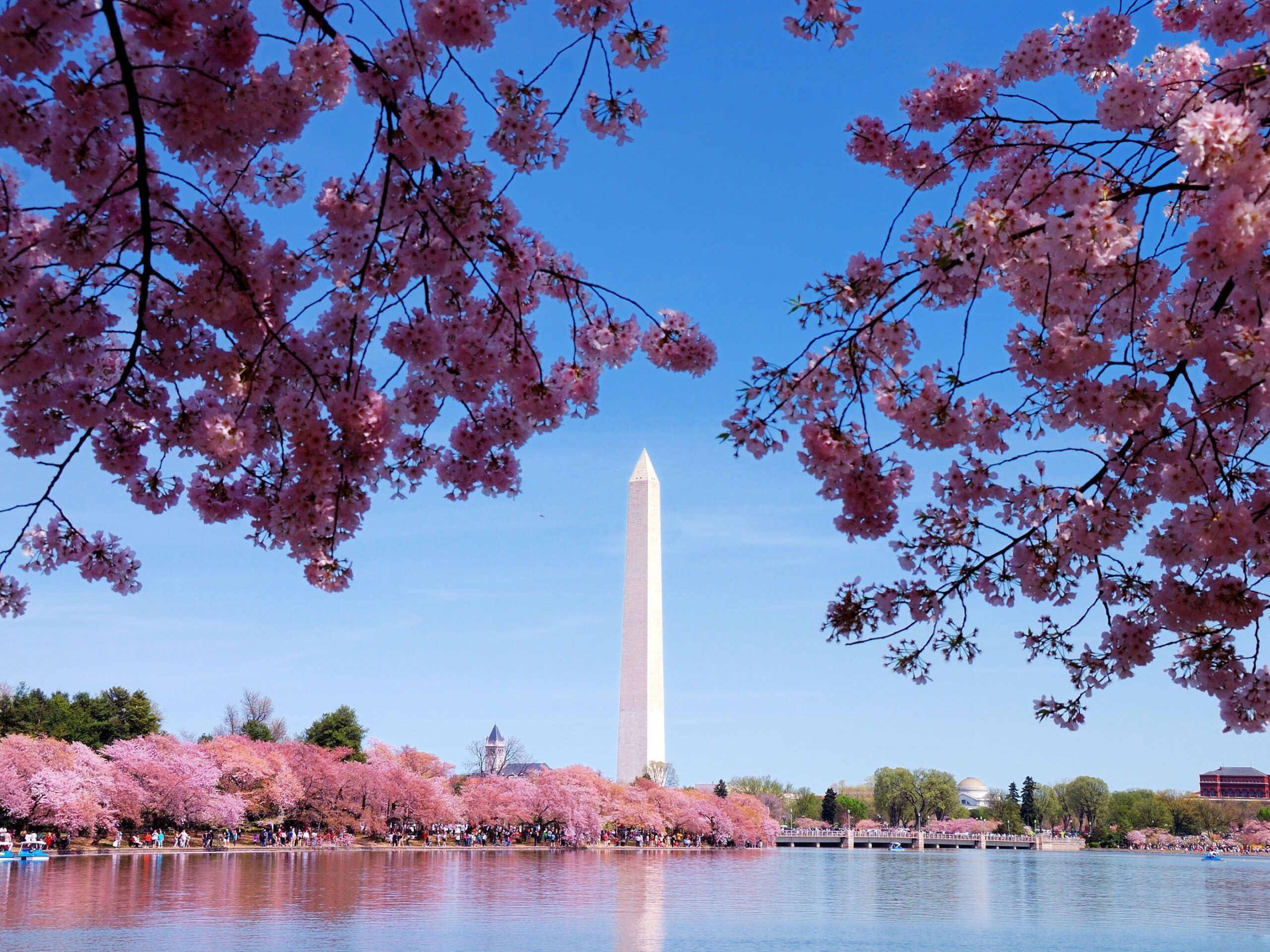 Wallpapers Of The Day: Washington DC Monuments