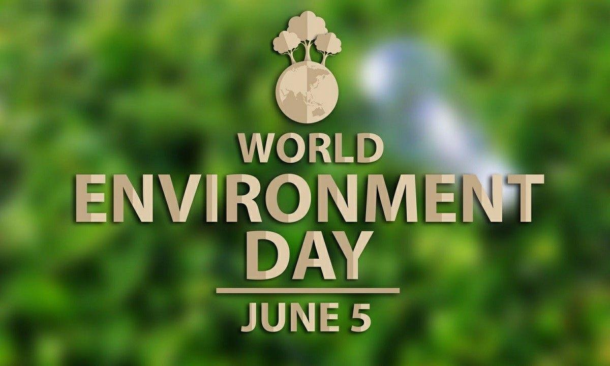 World Environment Day Hd Wallpapers Pictures