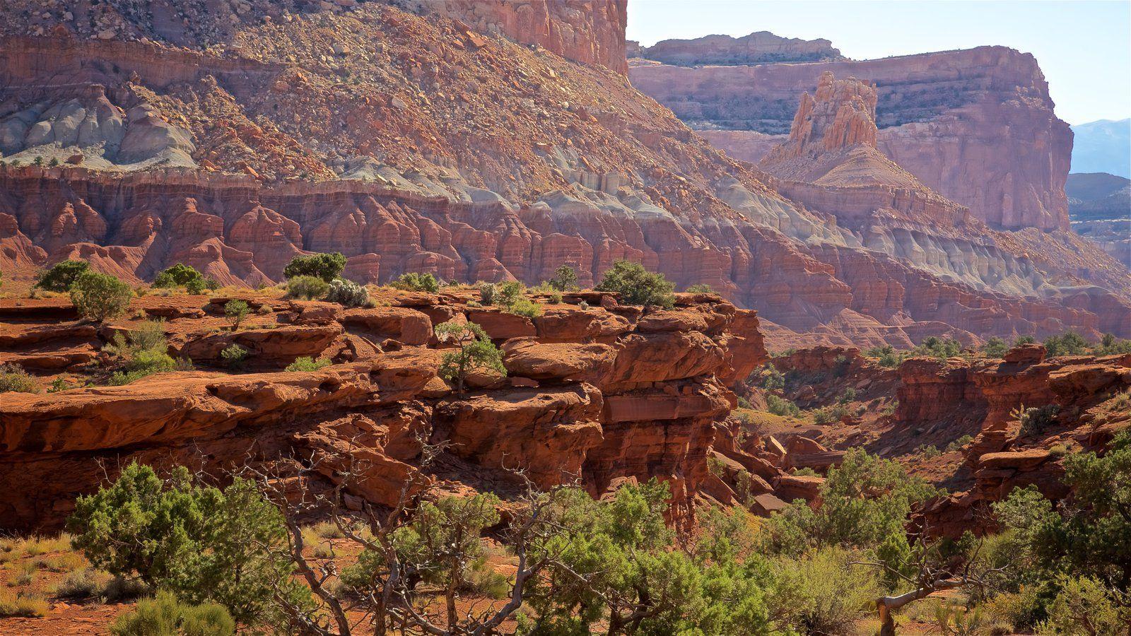 Capitol Reef National Park Pictures: View Photos & Image of