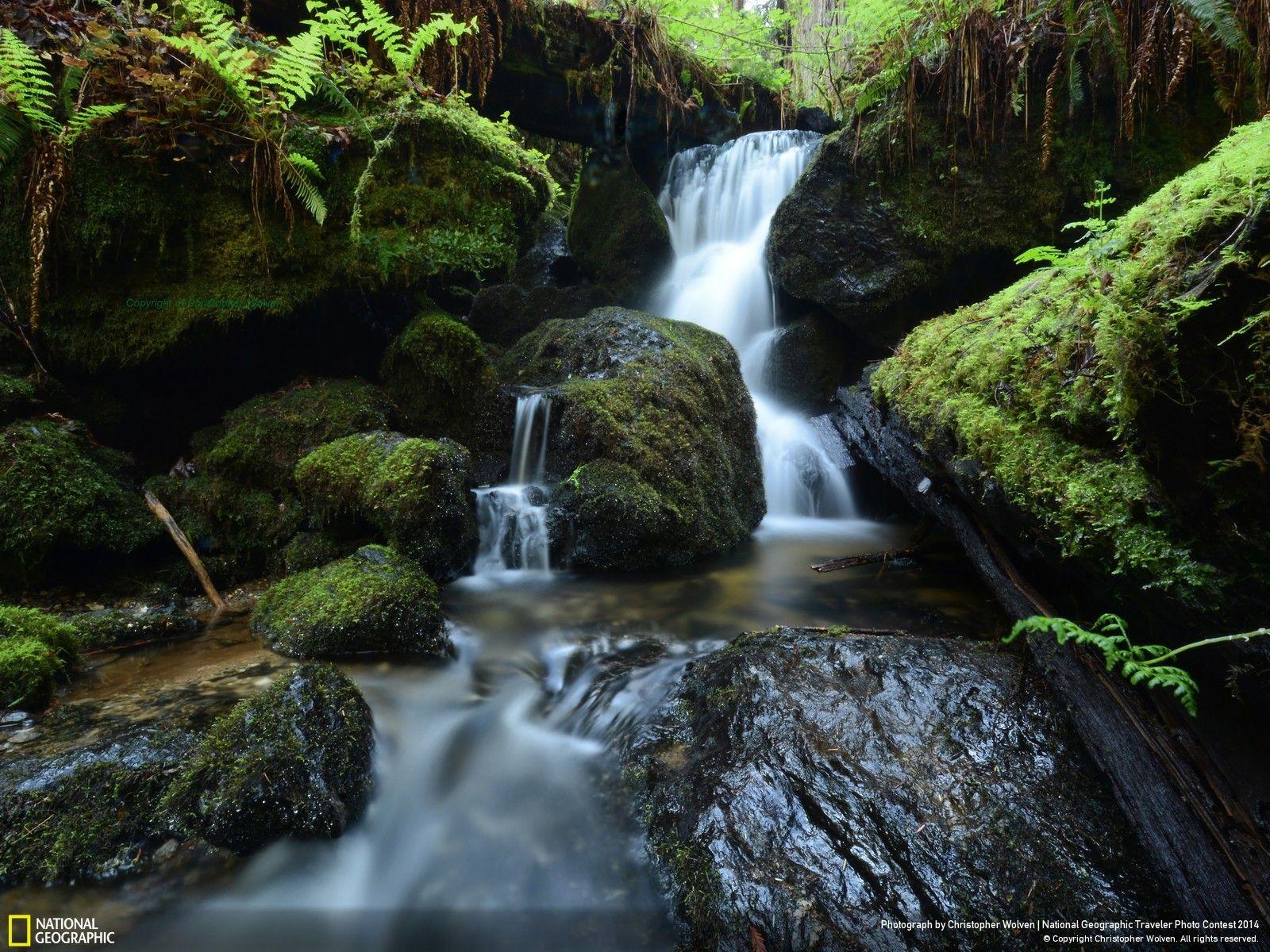 Trillium Falls