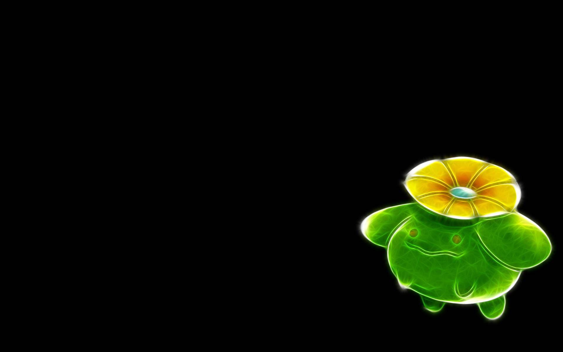 Skiploom Wallpapers 48106 ~ HDWallSource