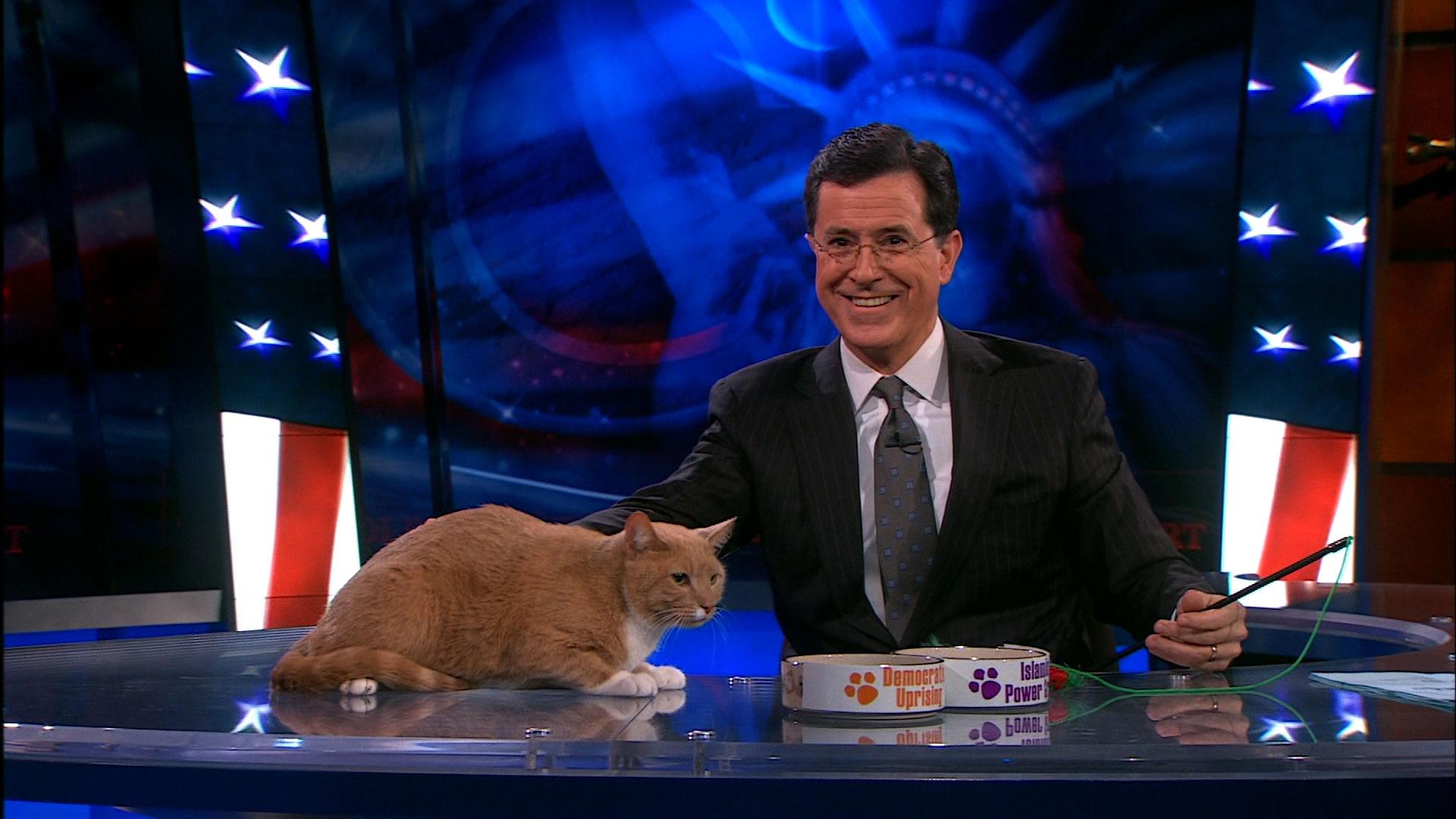 Stephen Colbert Wallpapers 11