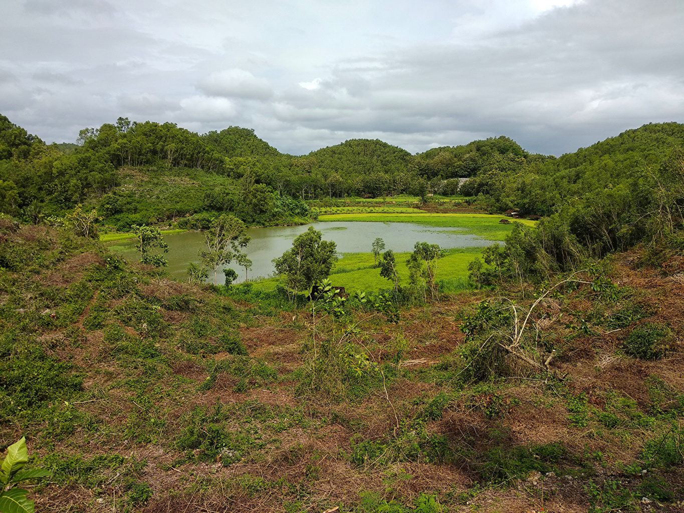 Photo Indonesia Yogyakarta Nature Lake Forests Tropics