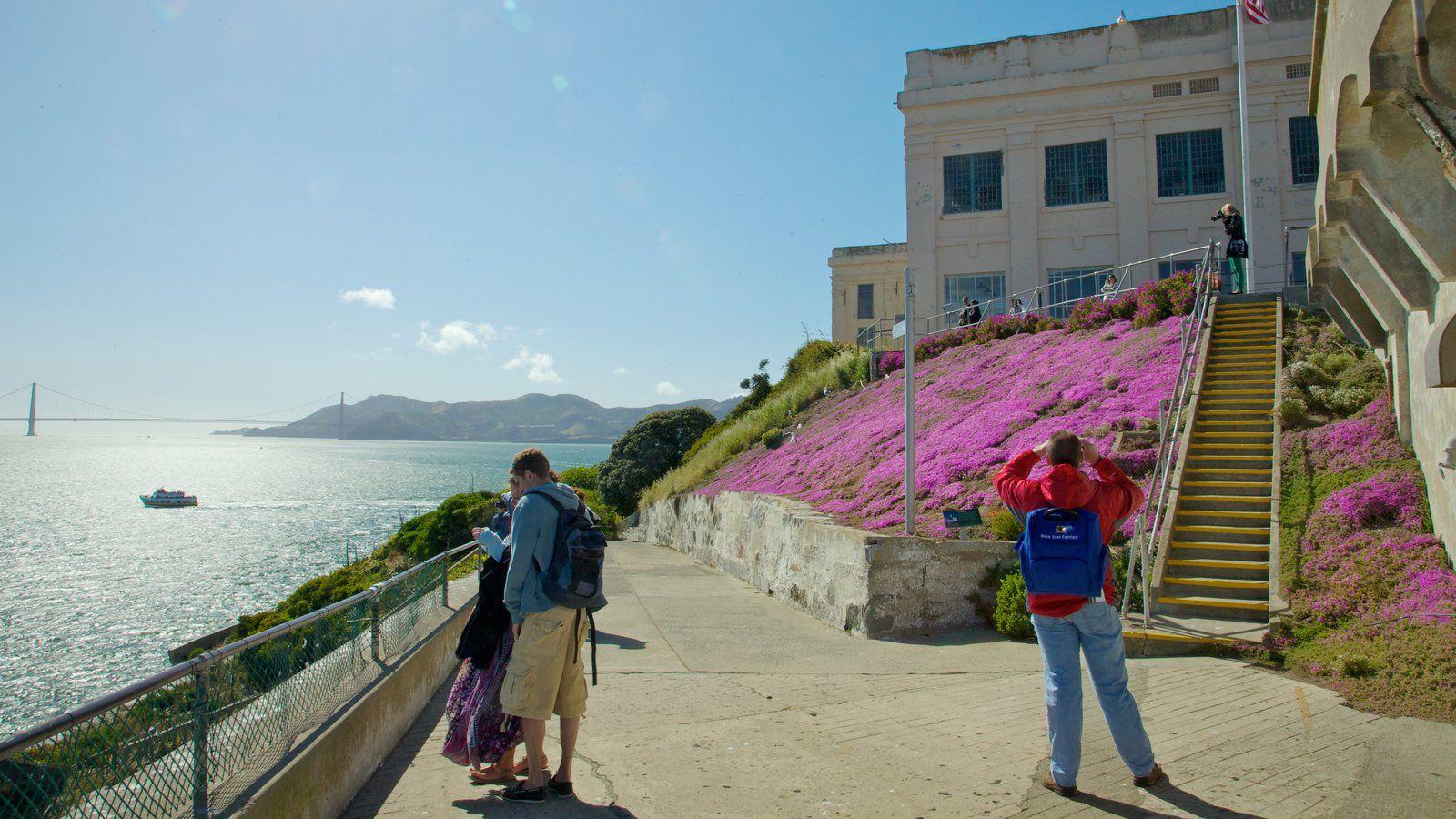 Flowers Pictures: View Image of Alcatraz Island