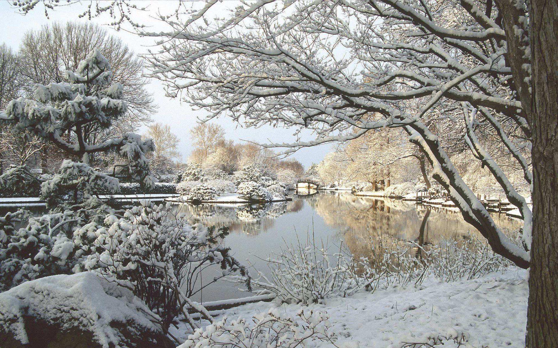 Winter In Missouri Botanical Garden Wallpapers