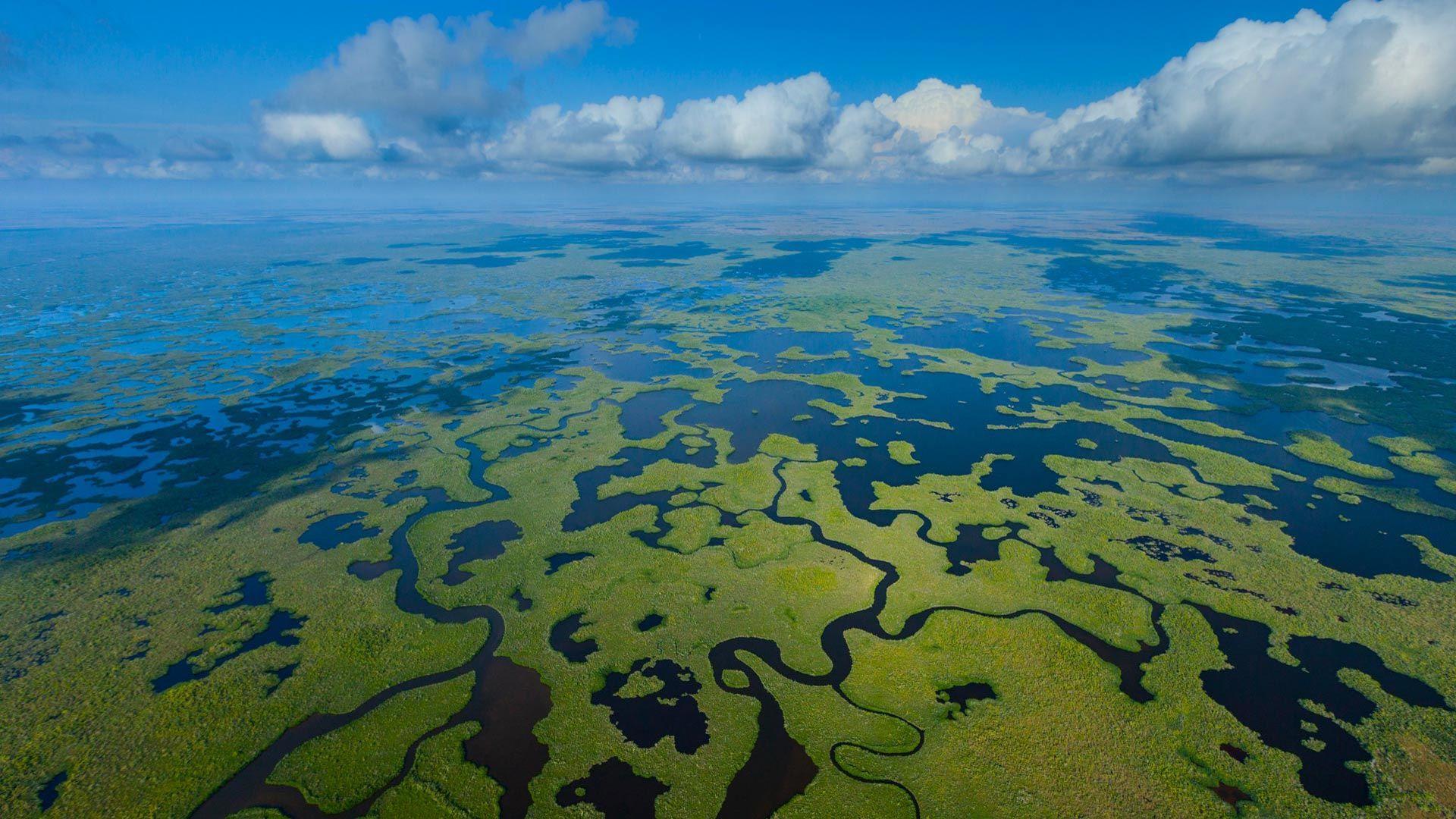 Aerial view, Everglades National Park, Florida, USA