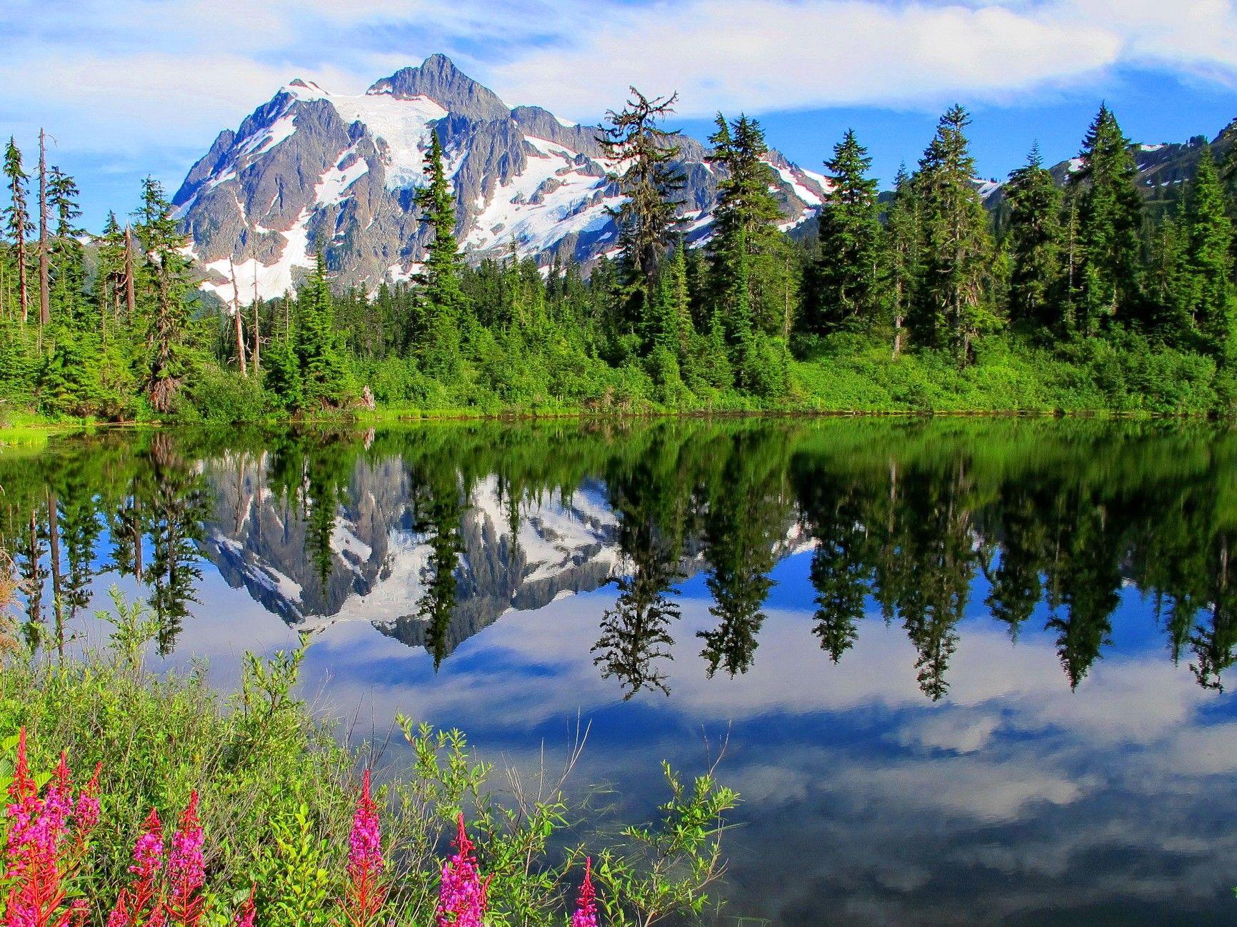 Mountain: North Cascades National Park Lake Forest Mountain