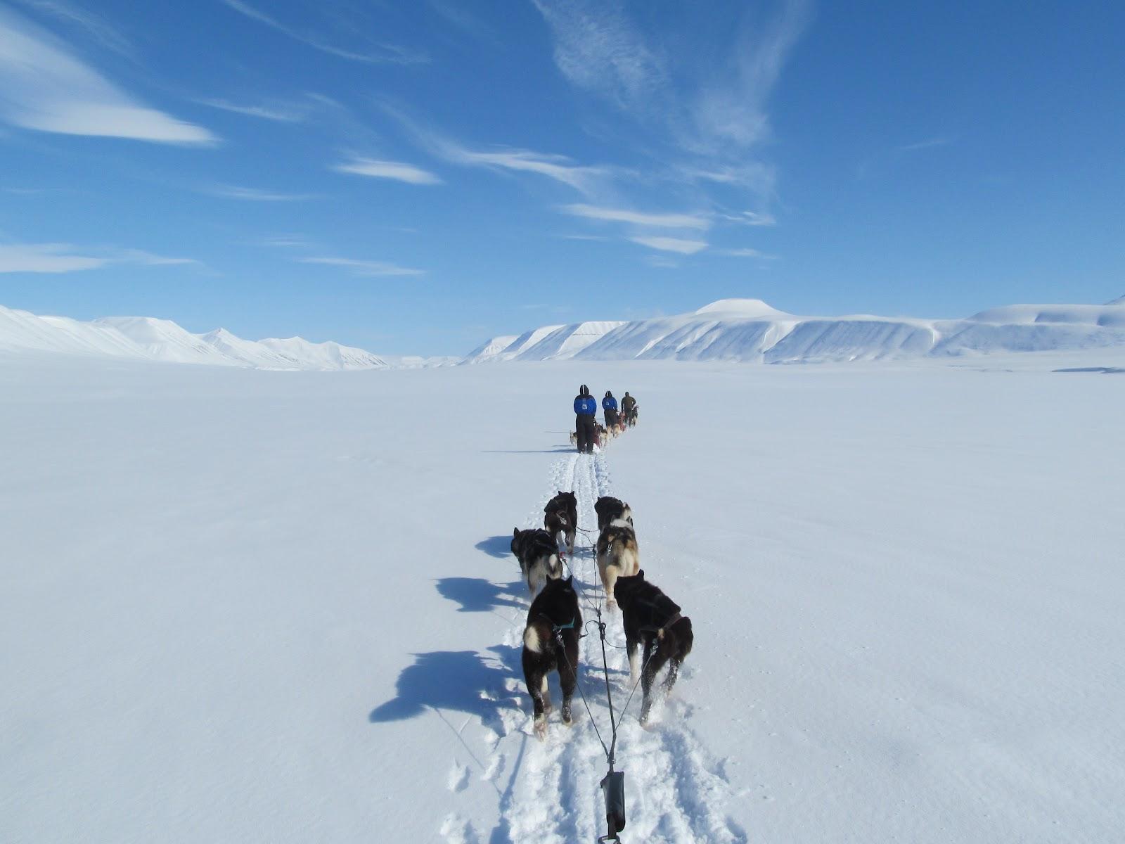 TOP WORLD PIC: Svalbard hd wallpapers