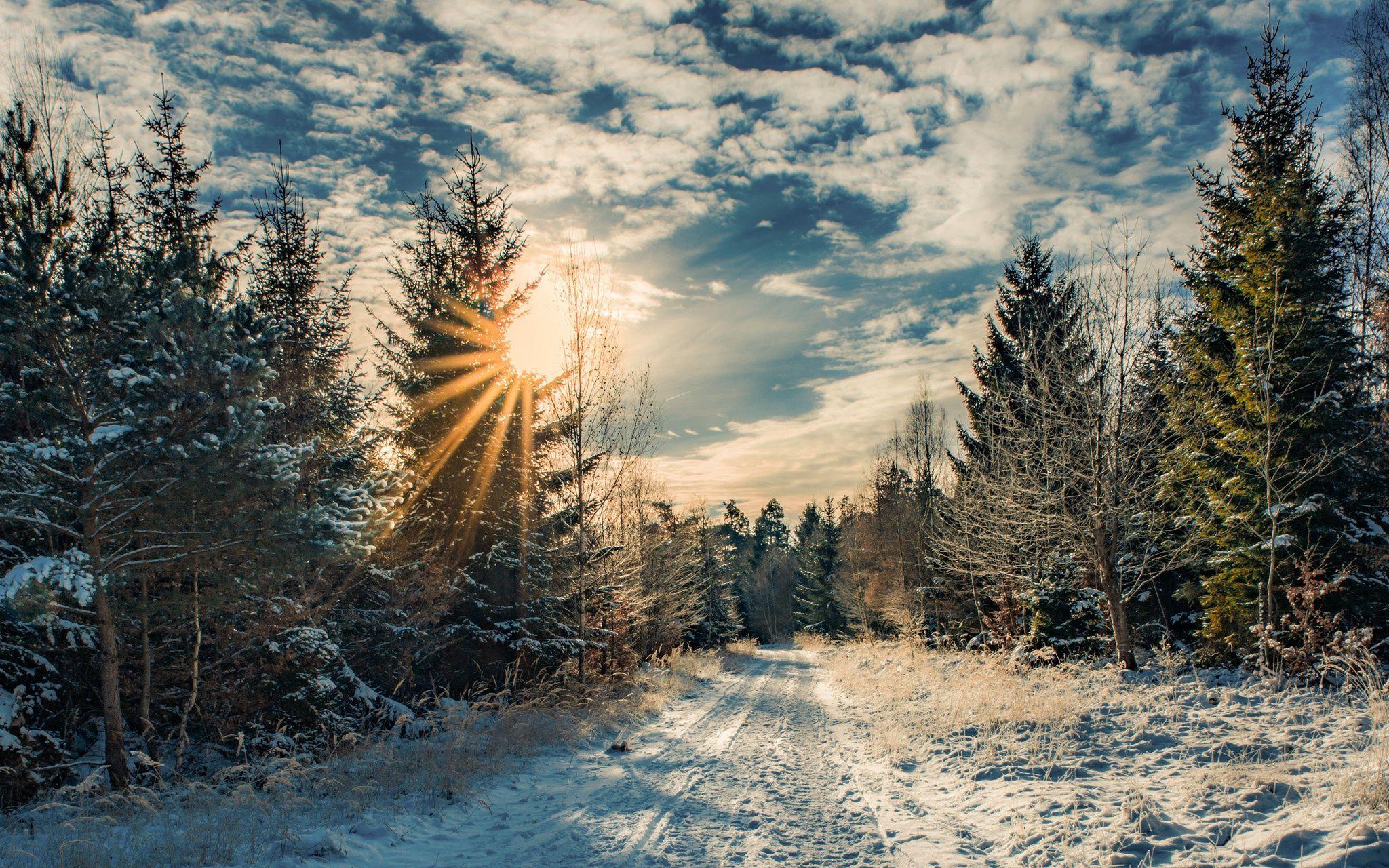 Winter Wallpapers 106