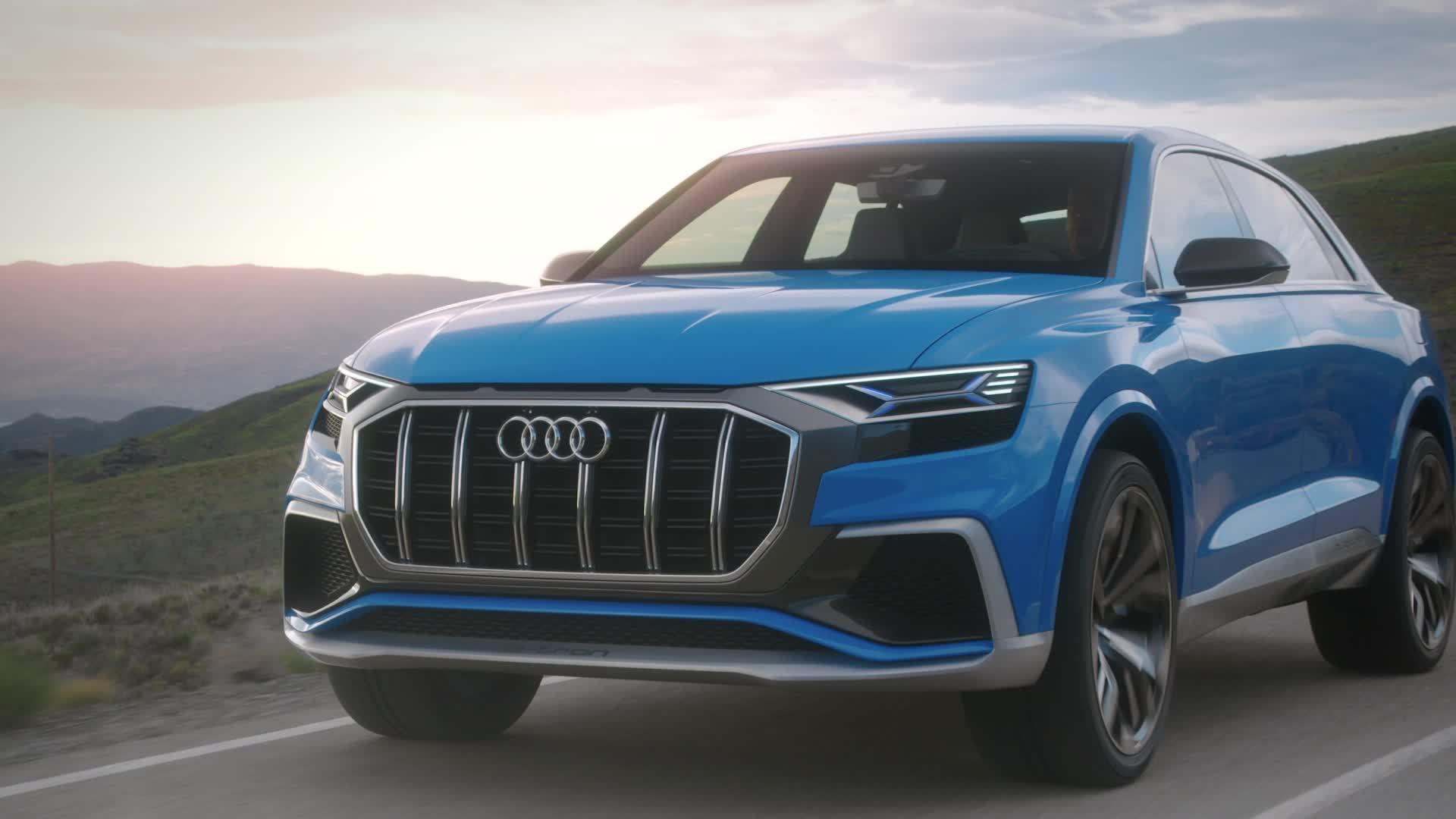 Audi Q8 Pictures Gallery