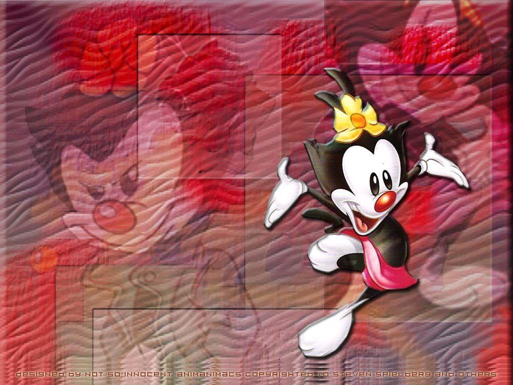 Wallpapers animaniacs y fenomenoide