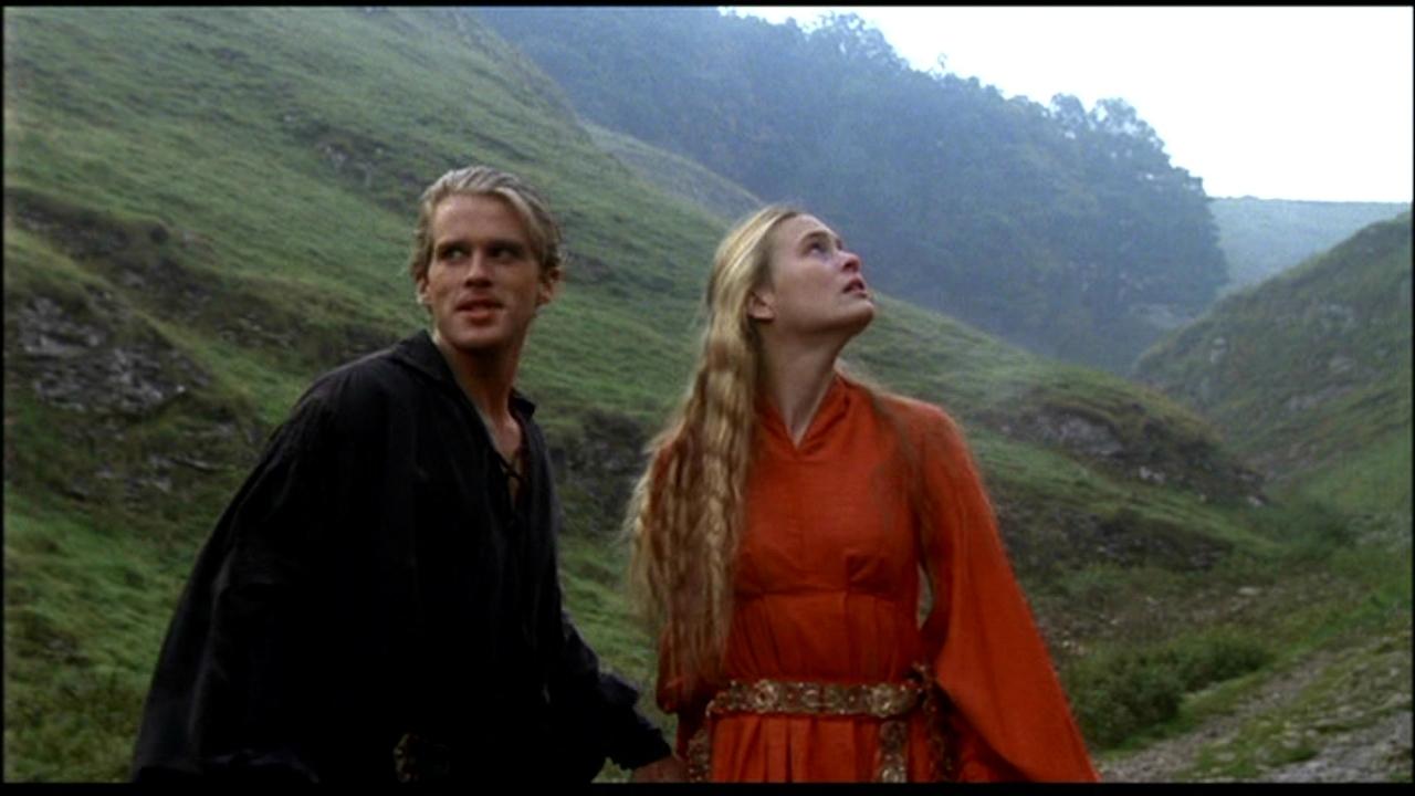 The Princess Bride image The Princess Bride HD wallpapers and