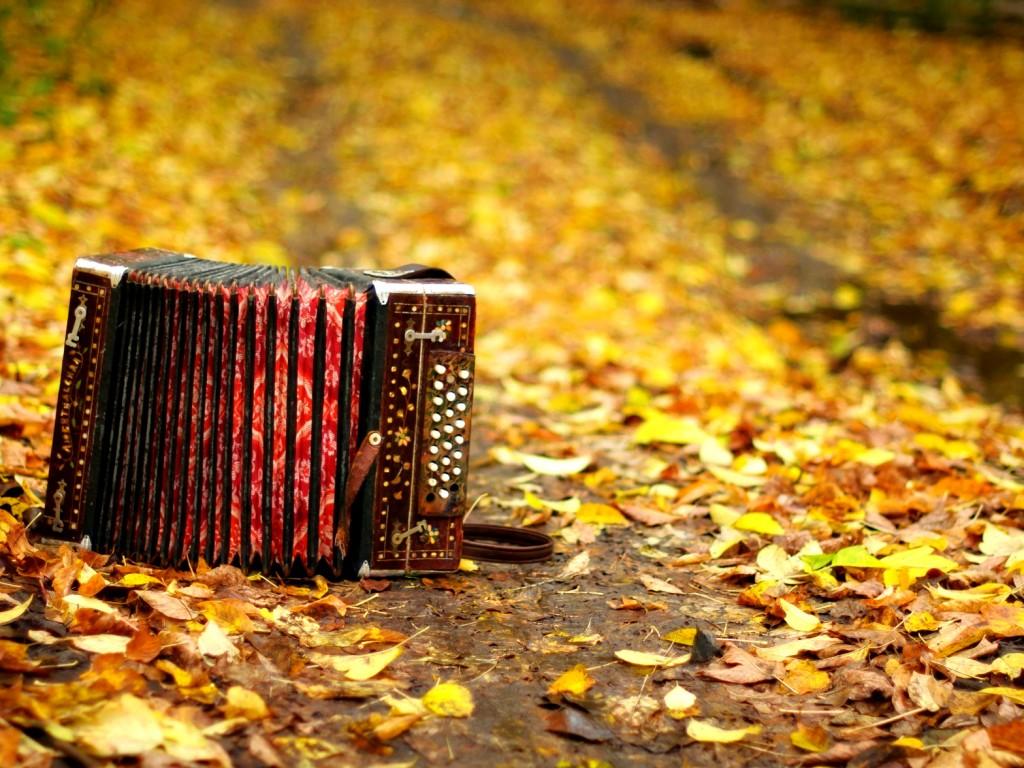 Accordion HD Wallpapers 13395