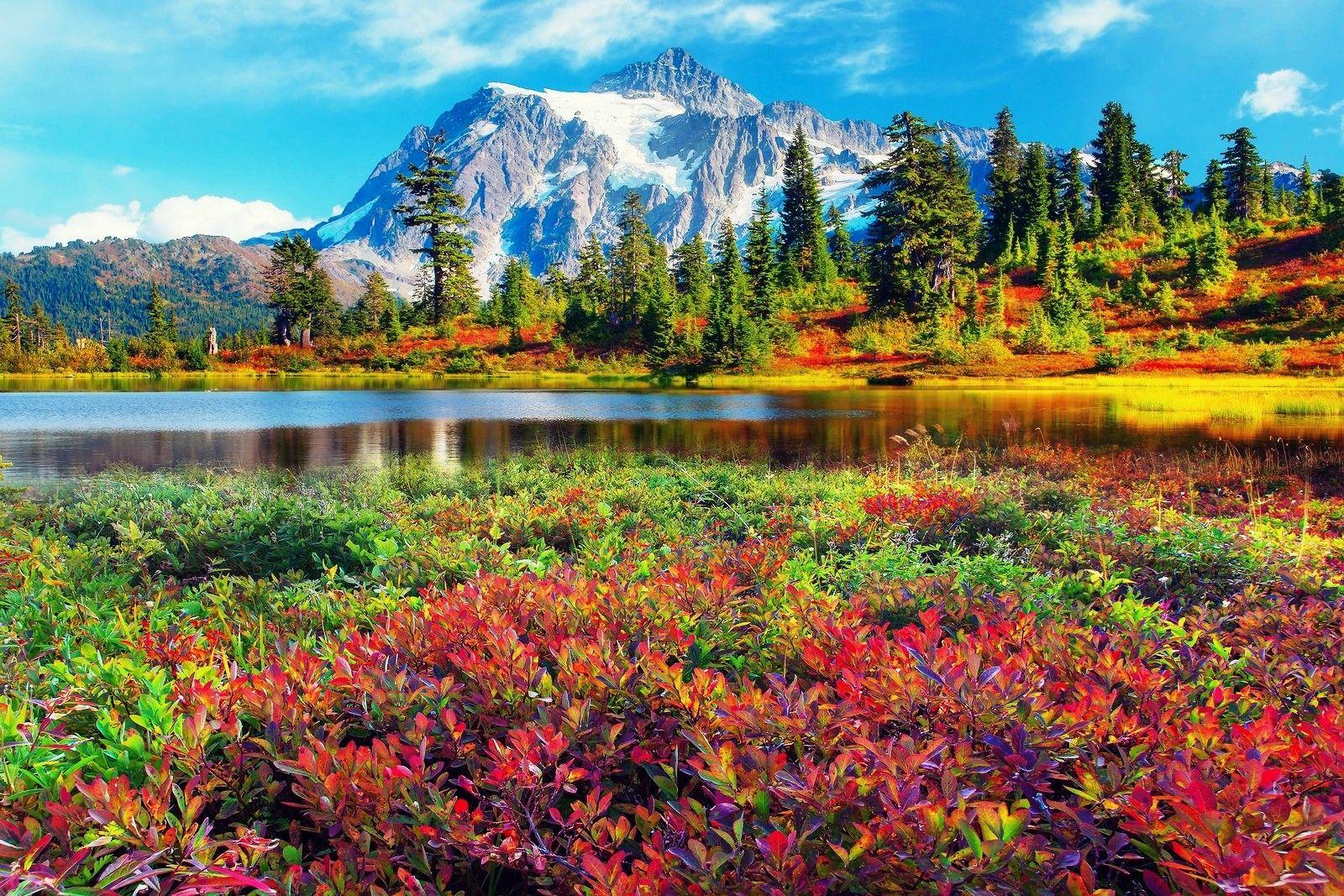 Park North Mountains Shuksan Beautiful Washington Cascades Forest