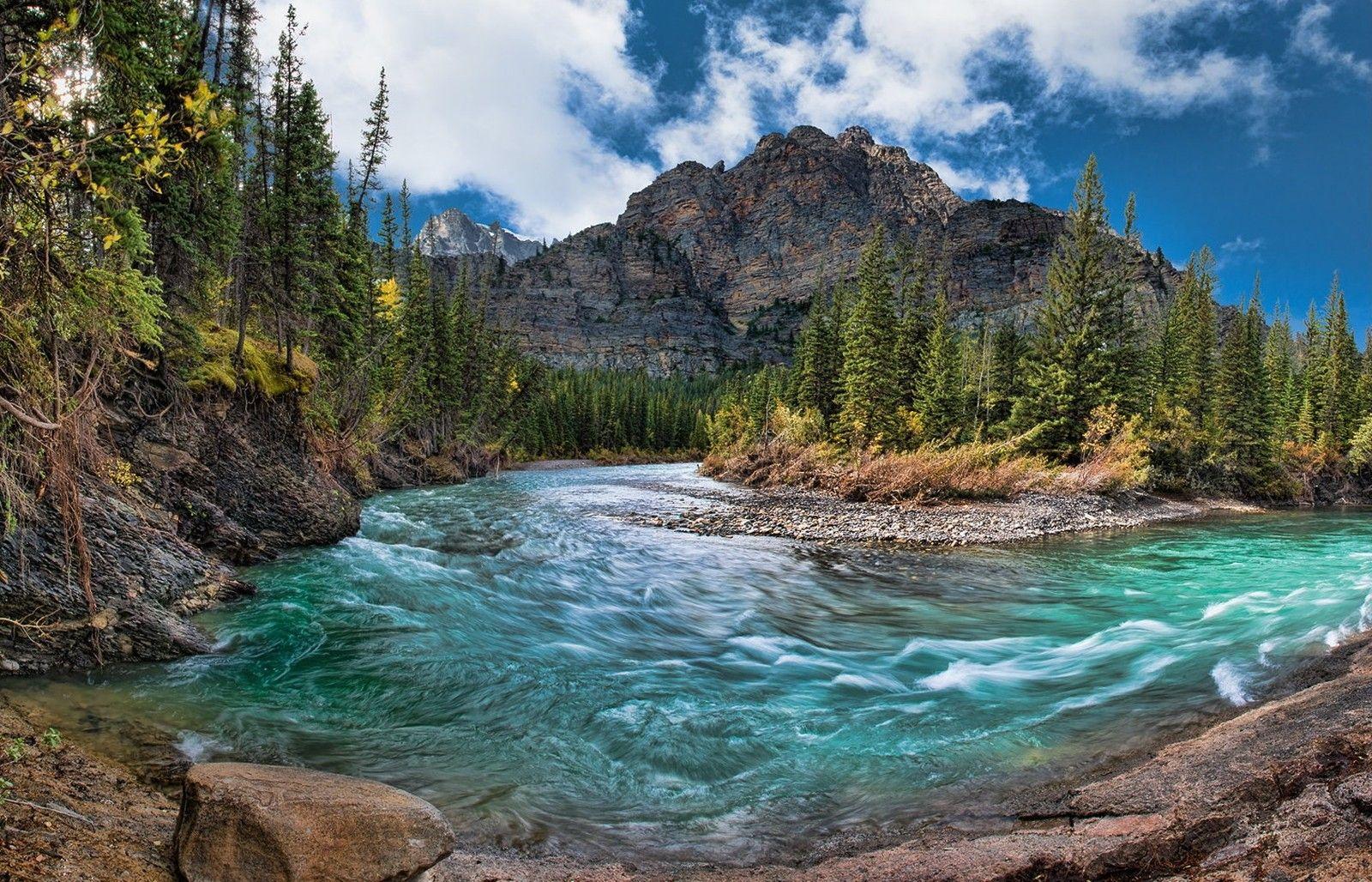 River: Mountain Creek Canada Forest River Banff National Park Water