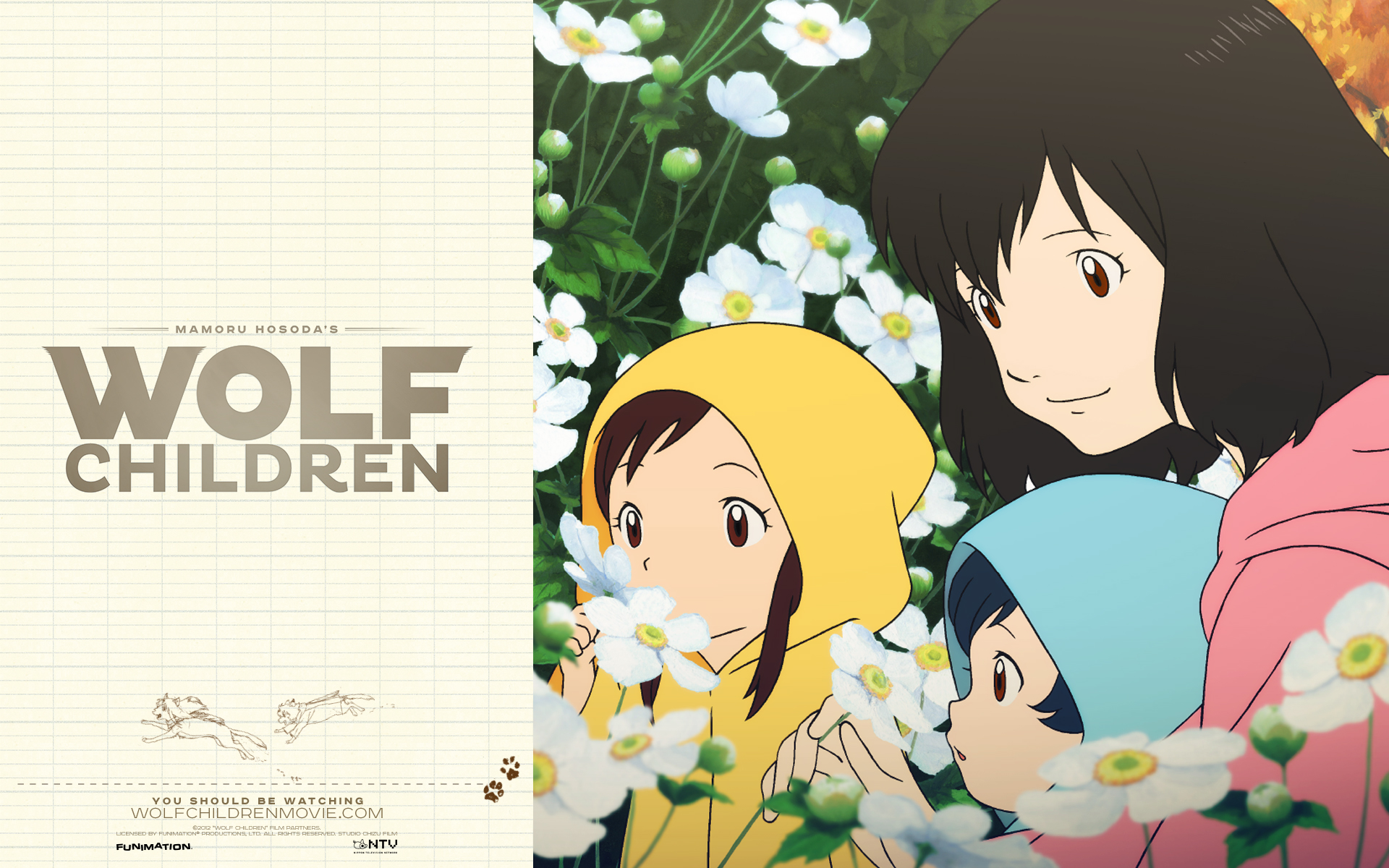 Wolf Children Wallpapers 17