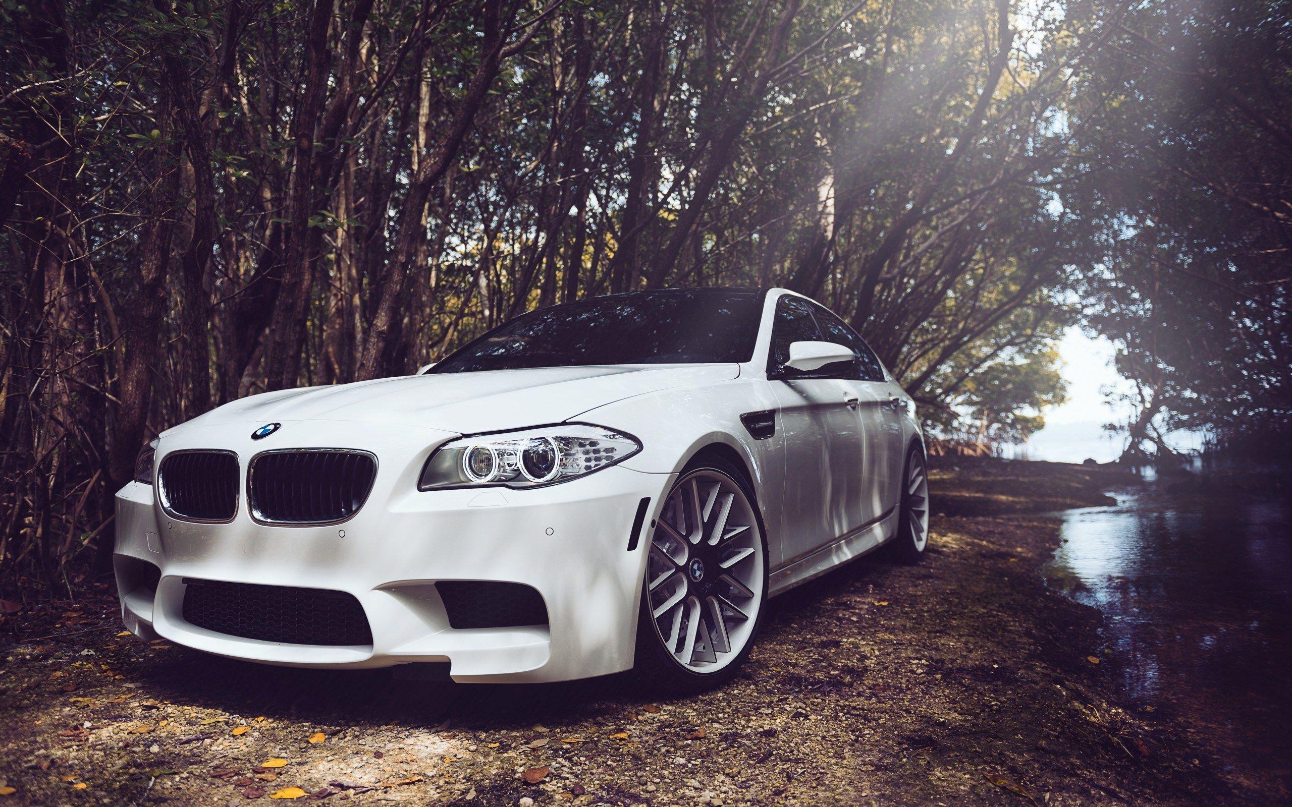 BMW M5 F10 White Car HD Wallpapers