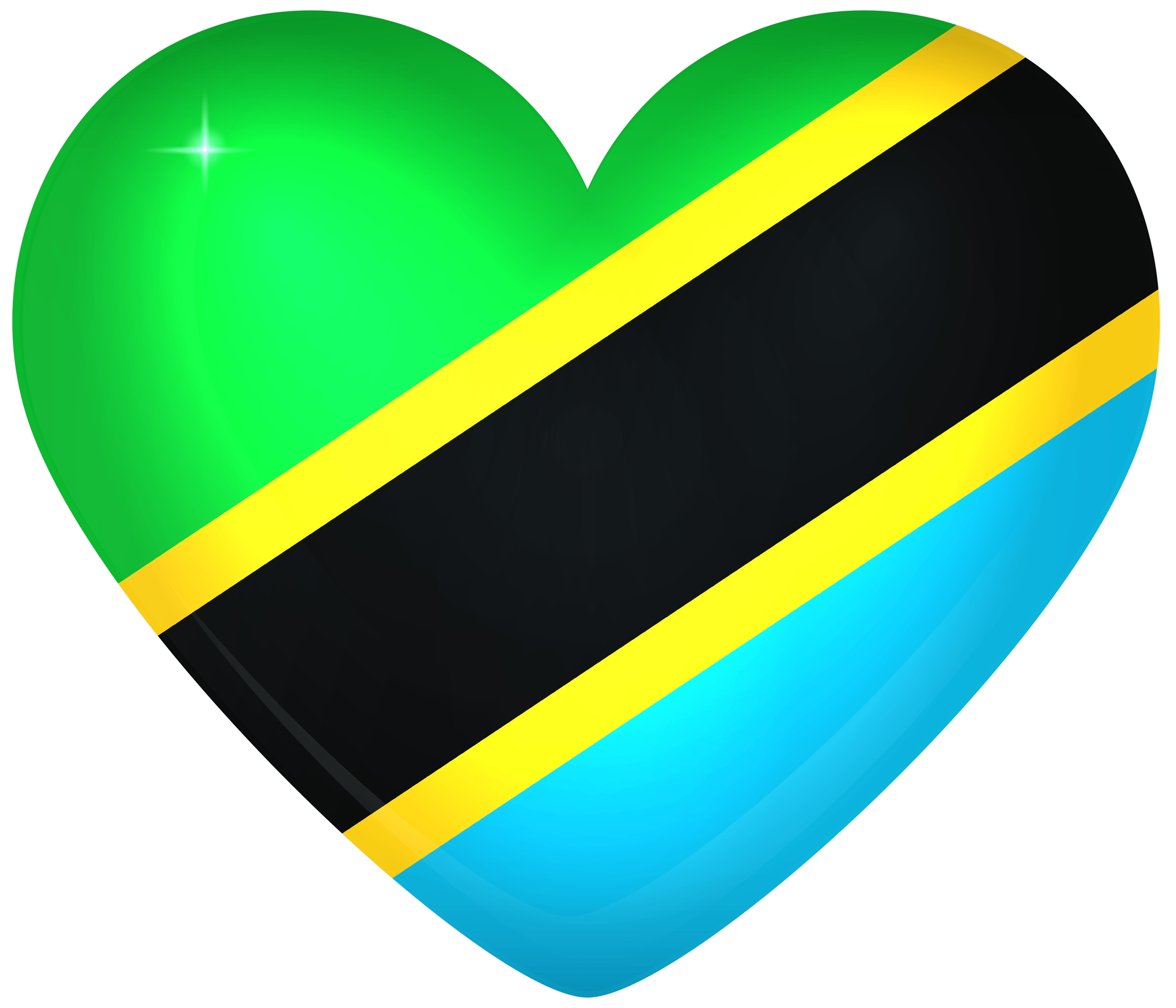 Tanzania Large Heart Flag