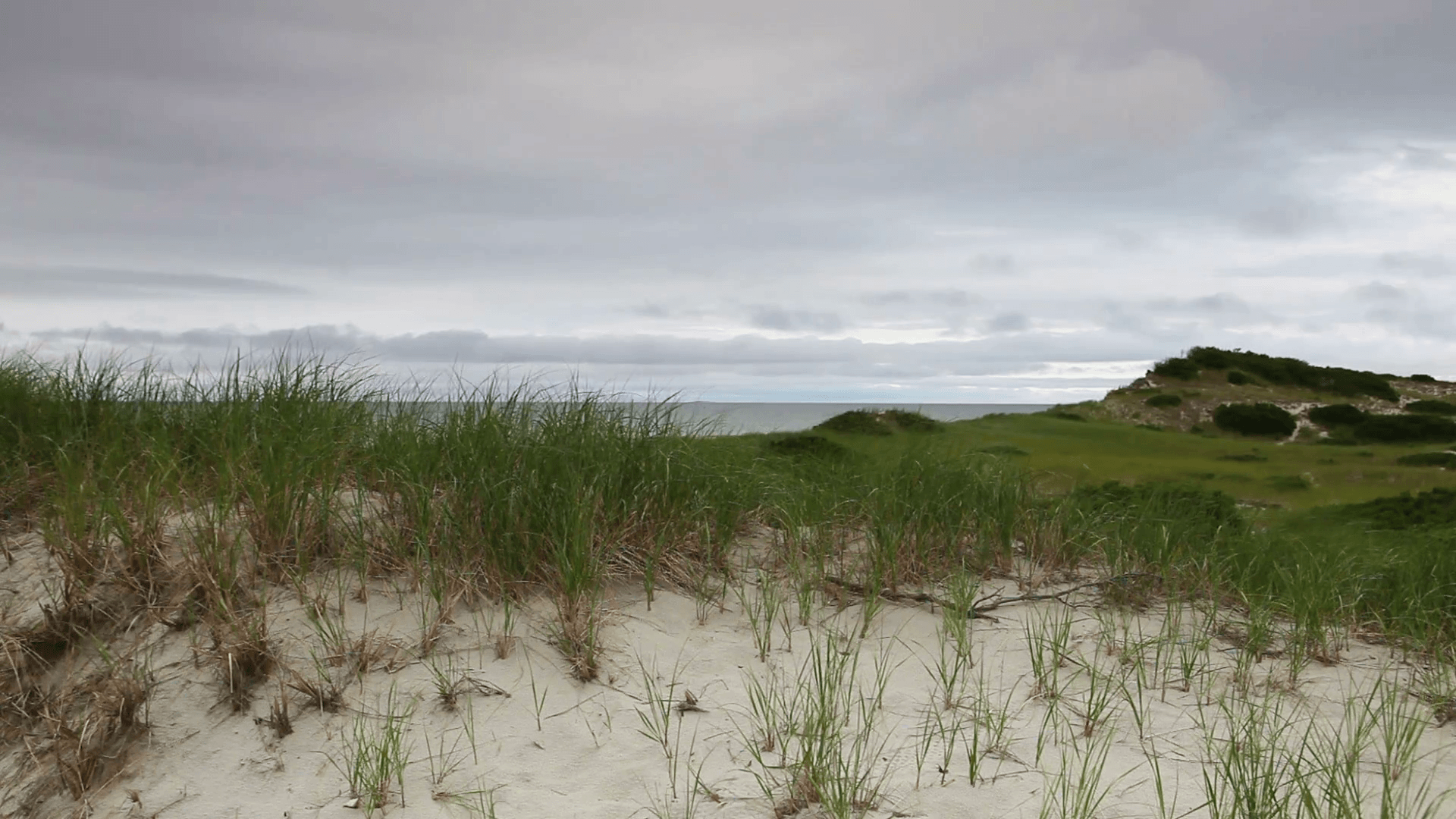 Sand dunes beach on the Cape Cod National Seashore on the Atlantic