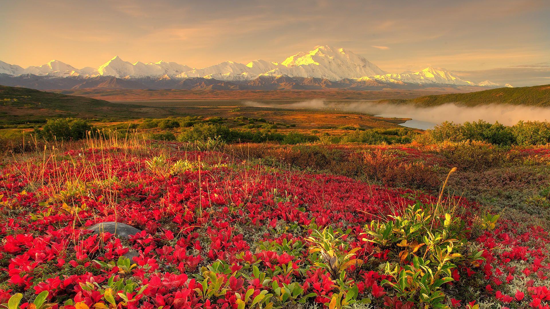 Denali National Park Wallpapers 31540 ~ HDWallSource