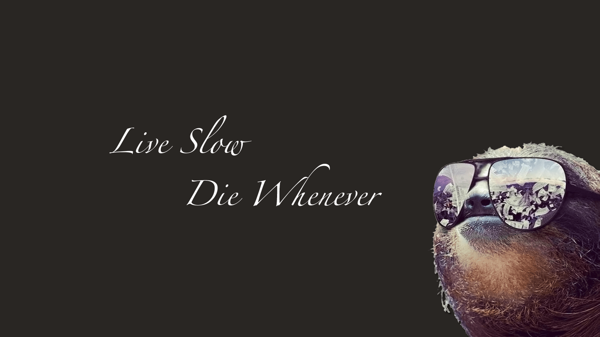 All of those other sloth wallpapers are too busy. : wallpapers