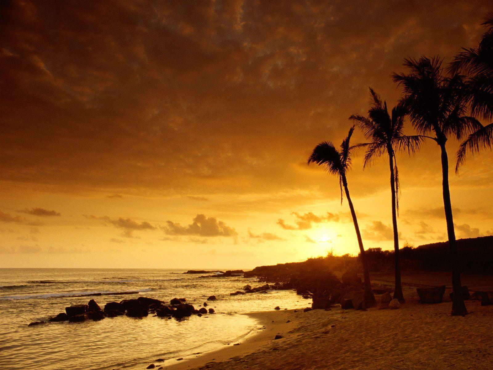 Wallpapers For > Hawaiian Sunset Backgrounds