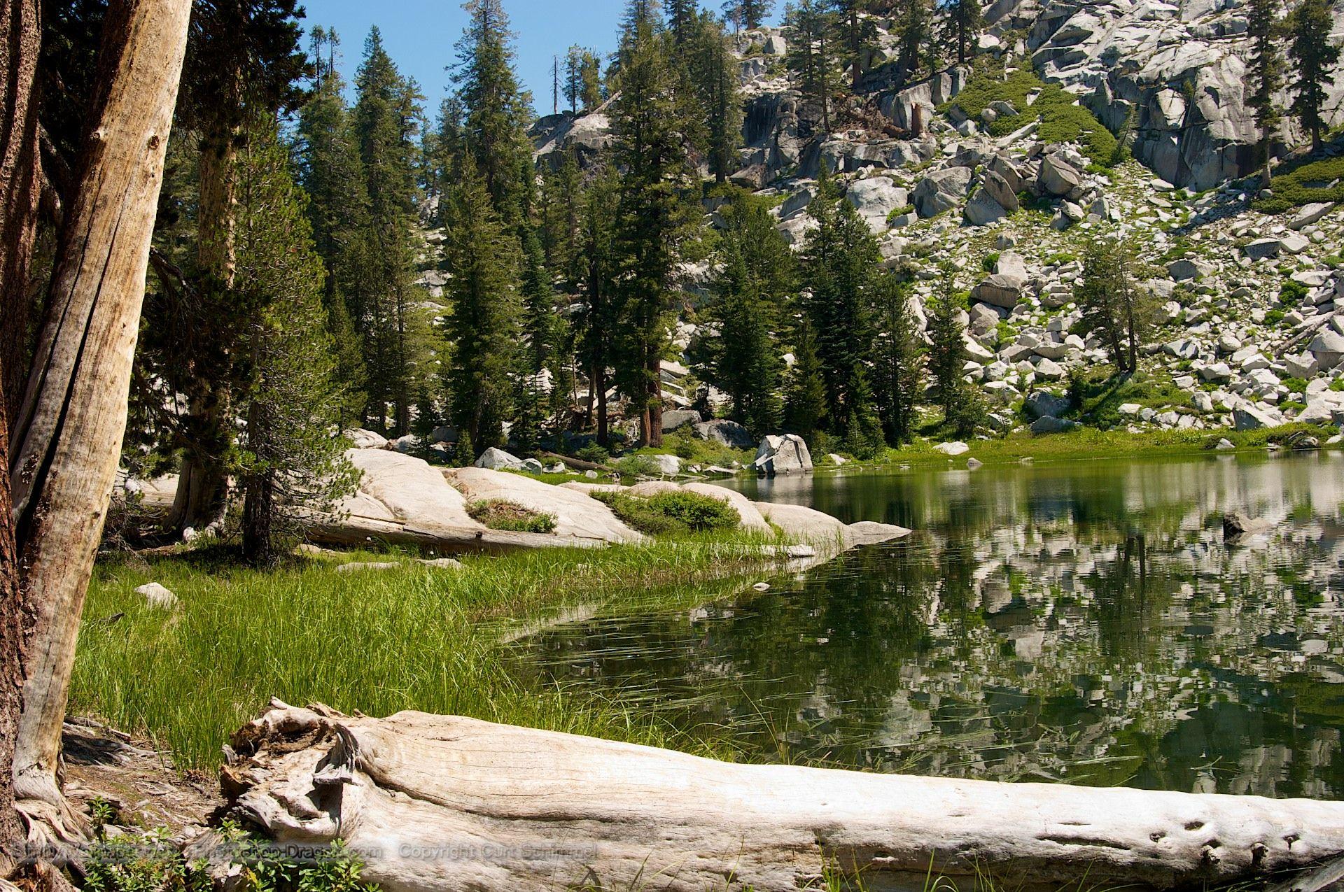 Secluded Pond at Sequoia National Park Desktop Wallpapers