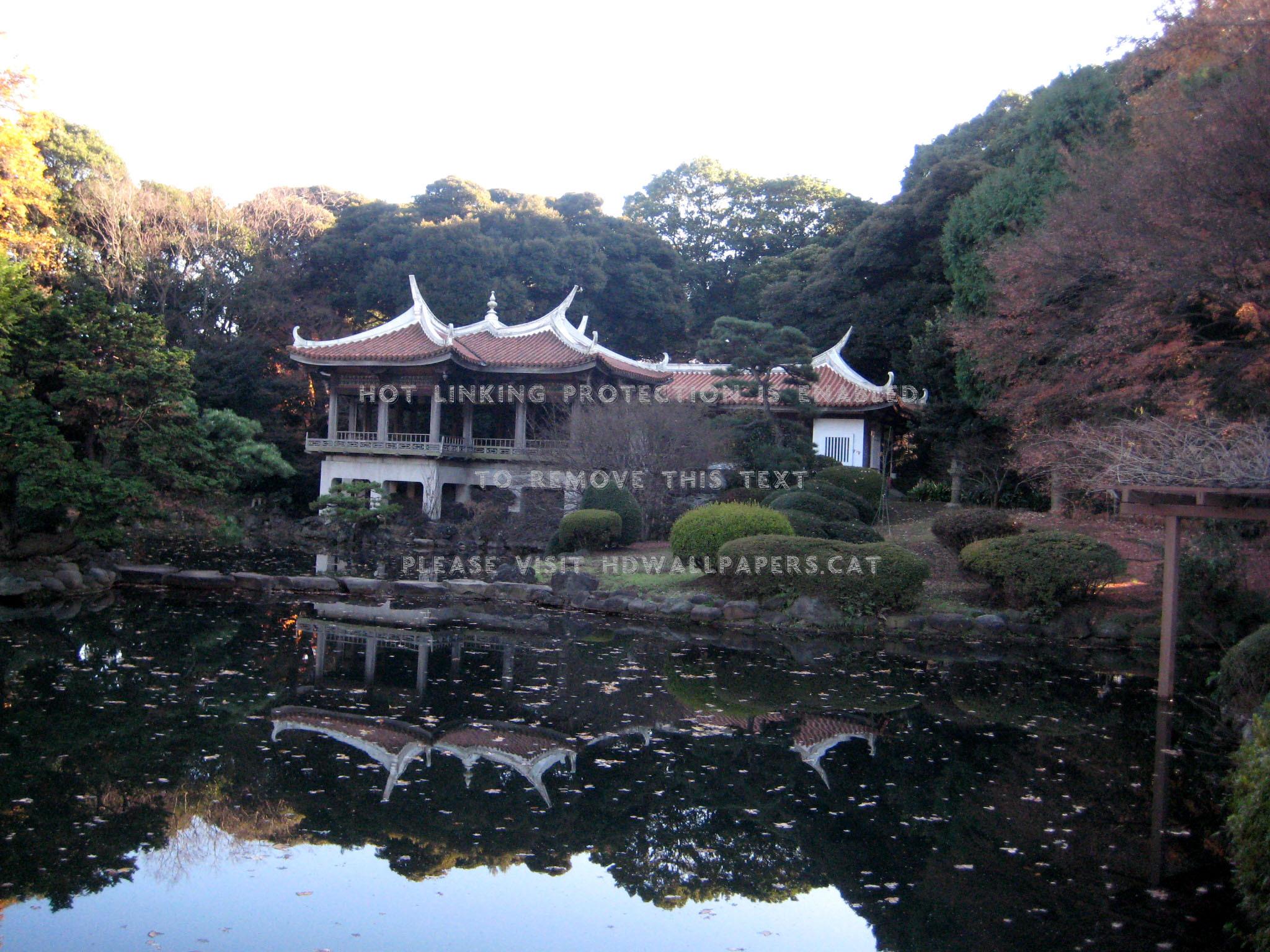 shinjuku gyoen japanese scenery lake tokyo