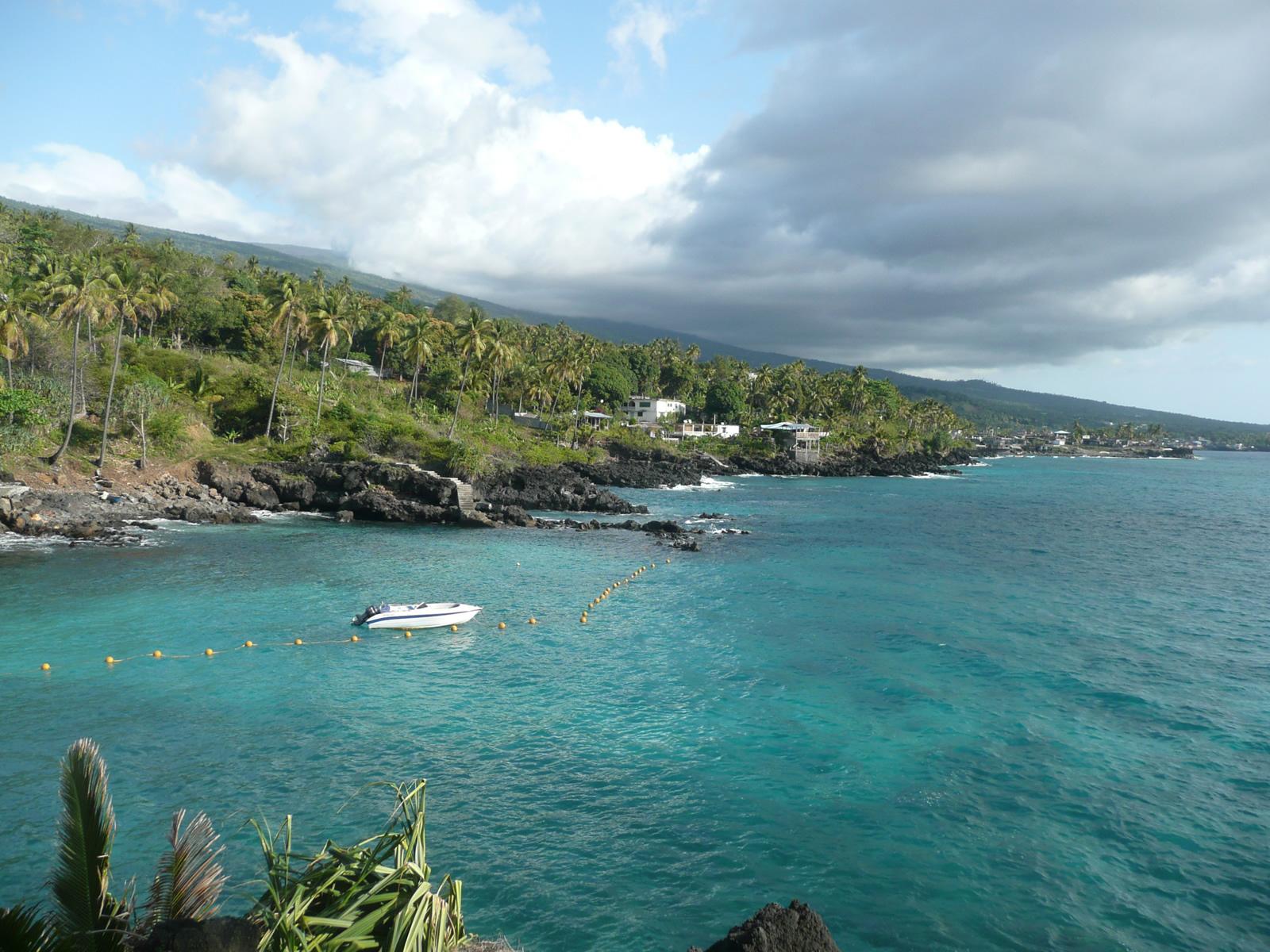 comoros palms and sea