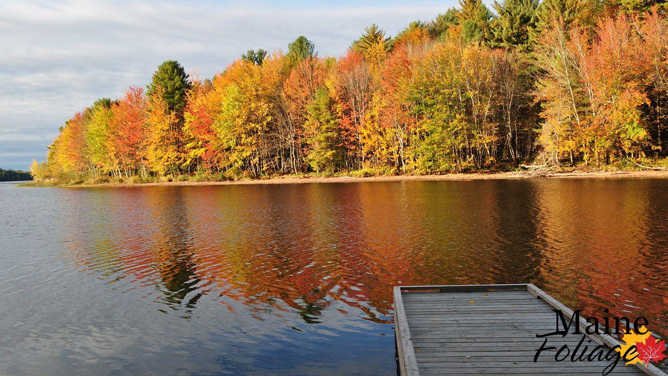 MaineFoliage: Photo Gallery: Foliage Wallpapers