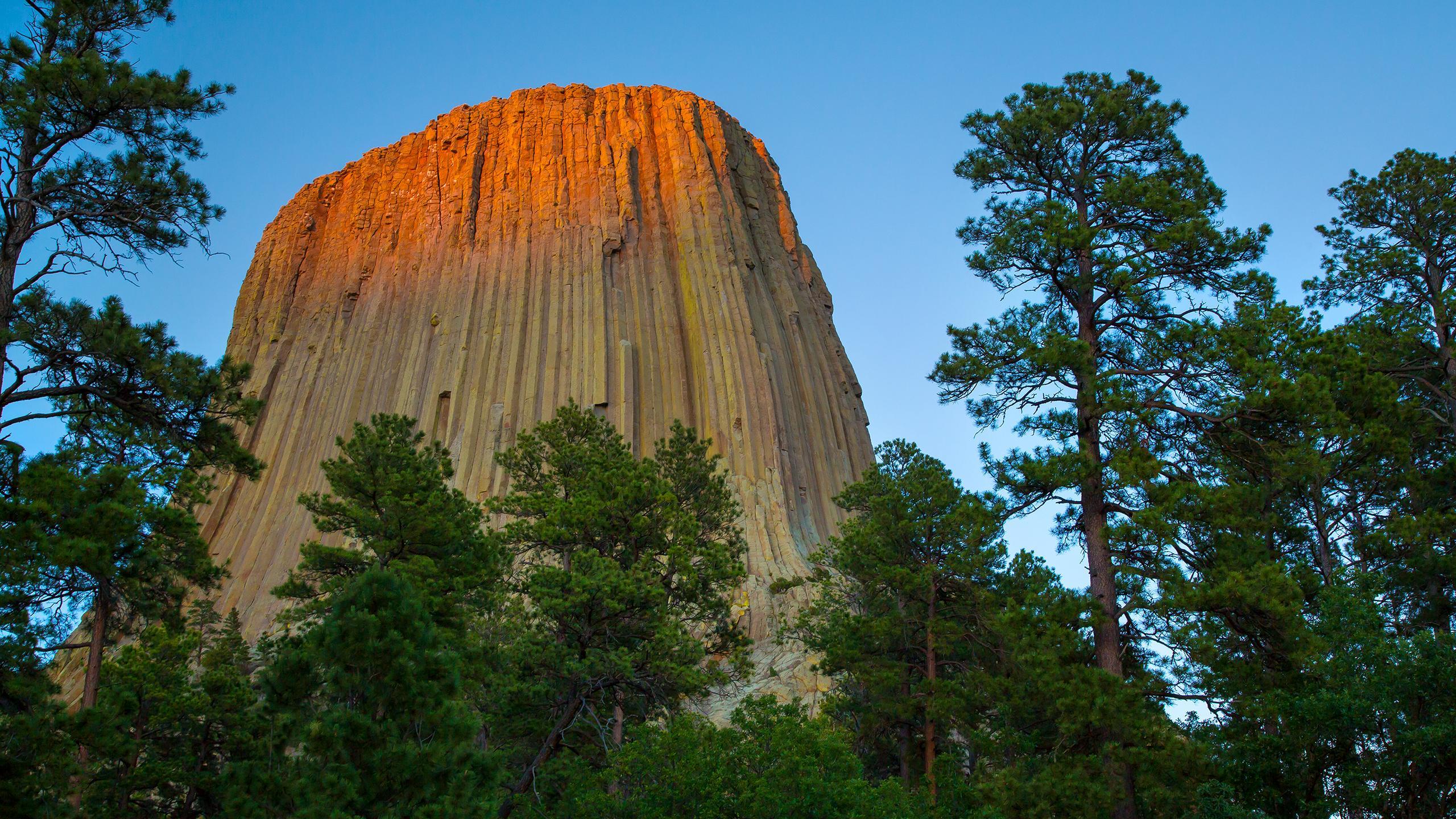 Devil’s Tower [Wallpaper]