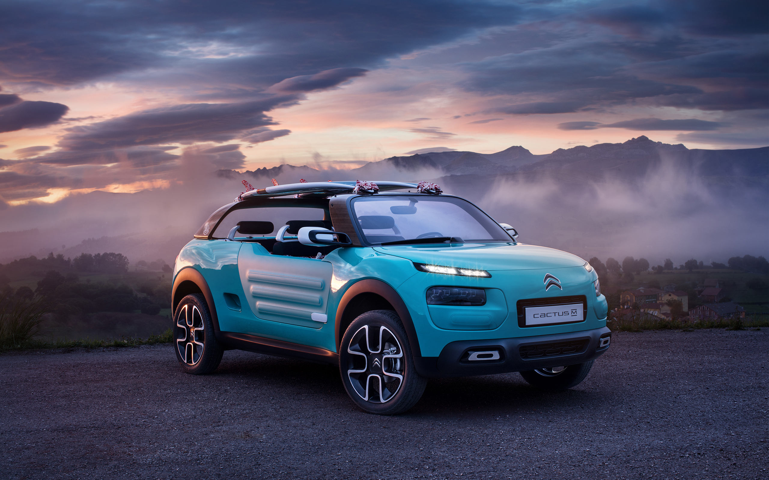 Citroen Cactus Wallpapers 4K