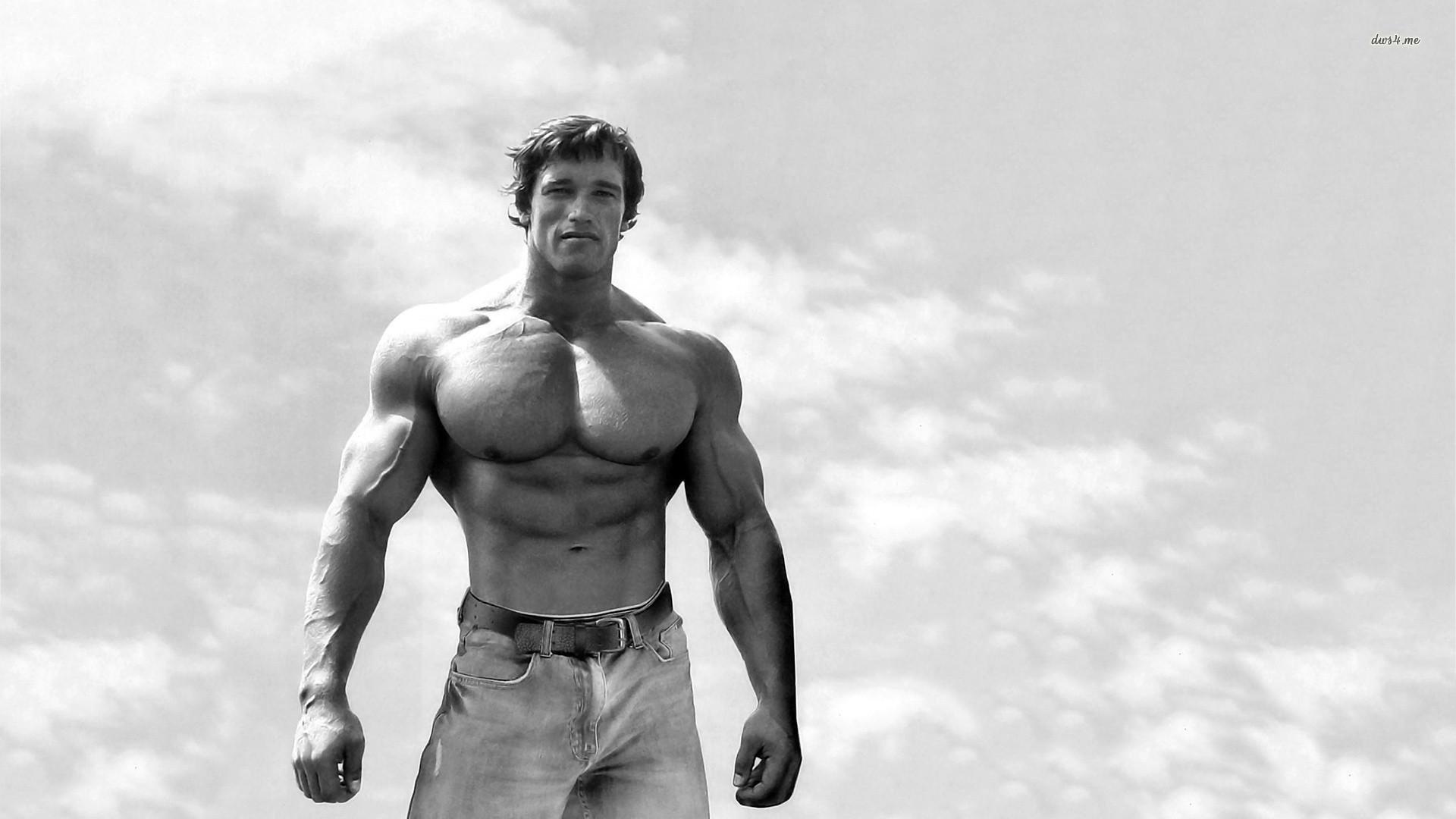 69+ Arnold Schwarzenegger Wallpapers