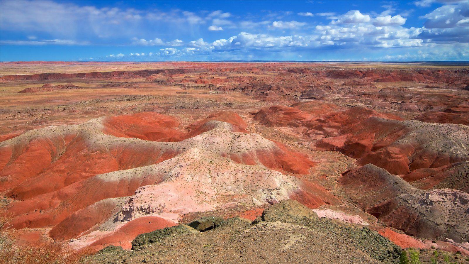 Landscape Pictures: View Image of Petrified Forest National Park