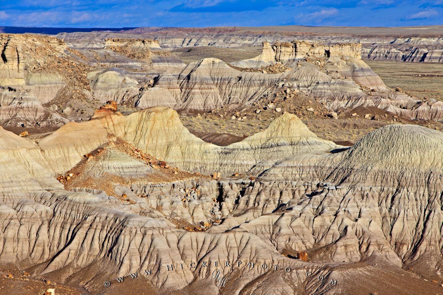 Free wallpapers background: Petrified Forest Landscape Arizona