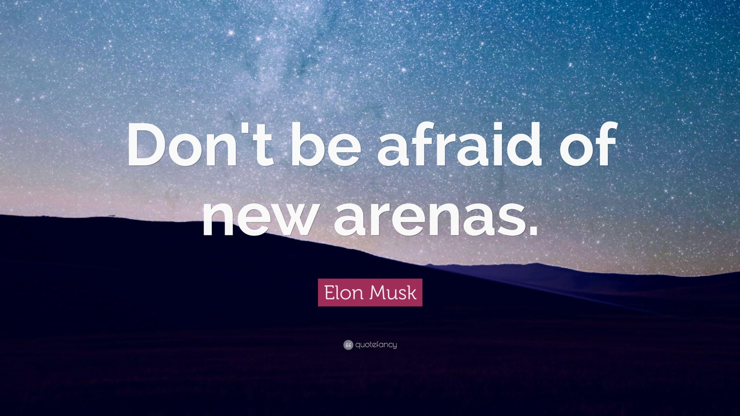 Elon Musk Quote: “Don’t be afraid of new arenas.”