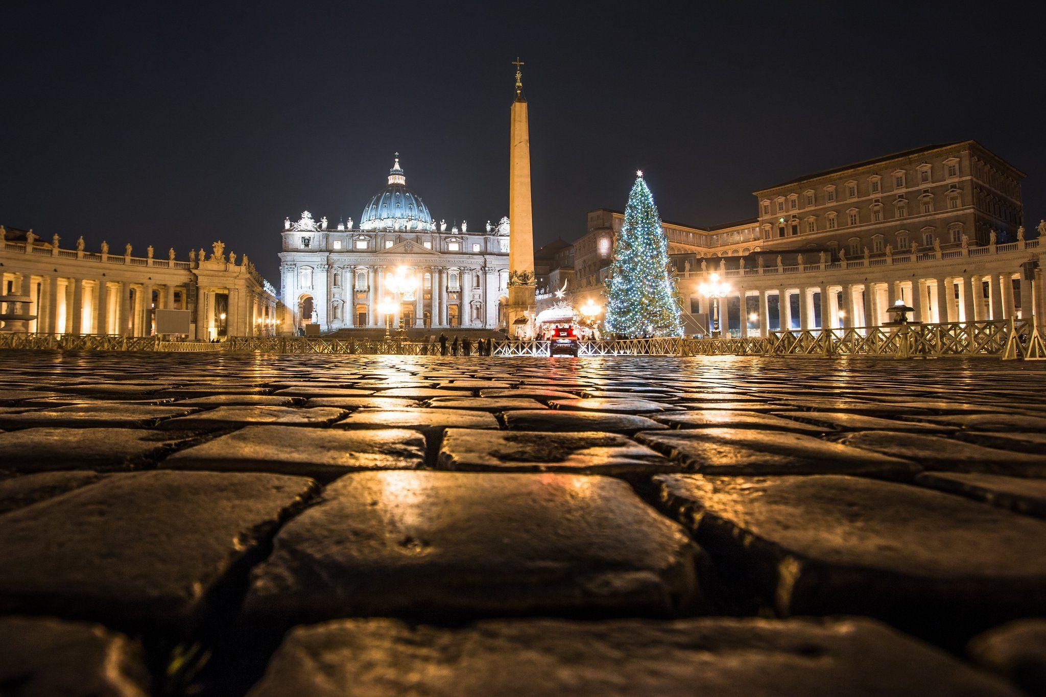 Vatican Vatican cathedral night lights square colonnade tree