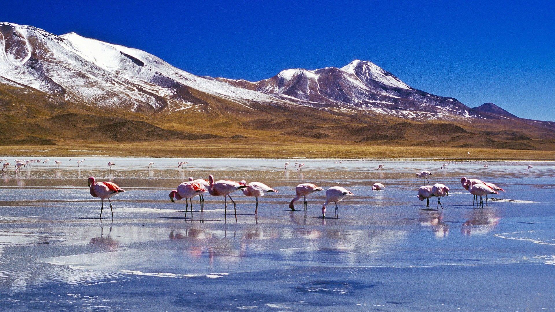 Bolivia HD Wallpapers