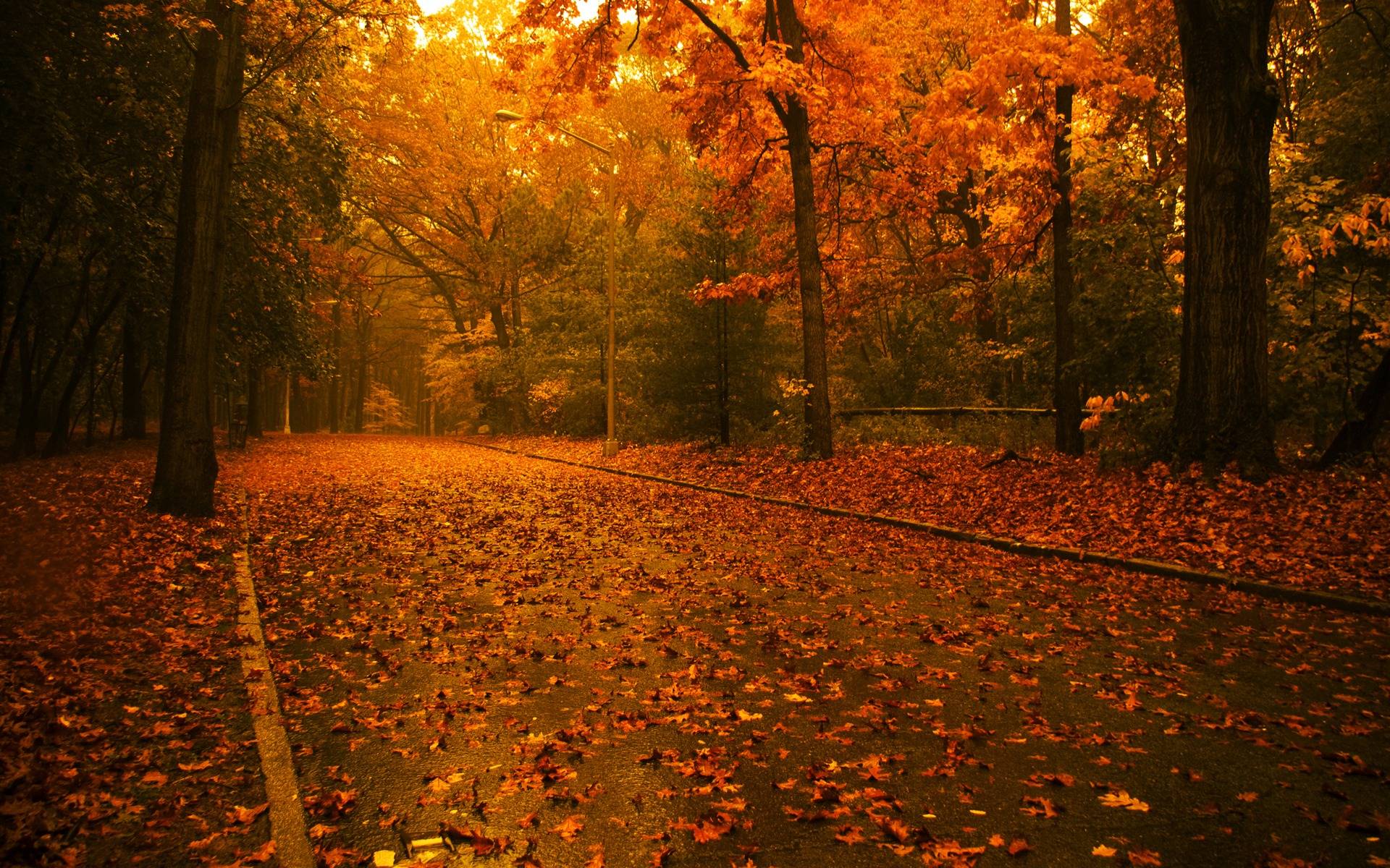 Fall Screensavers for Desktop, wallpaper, Fall Screensavers for