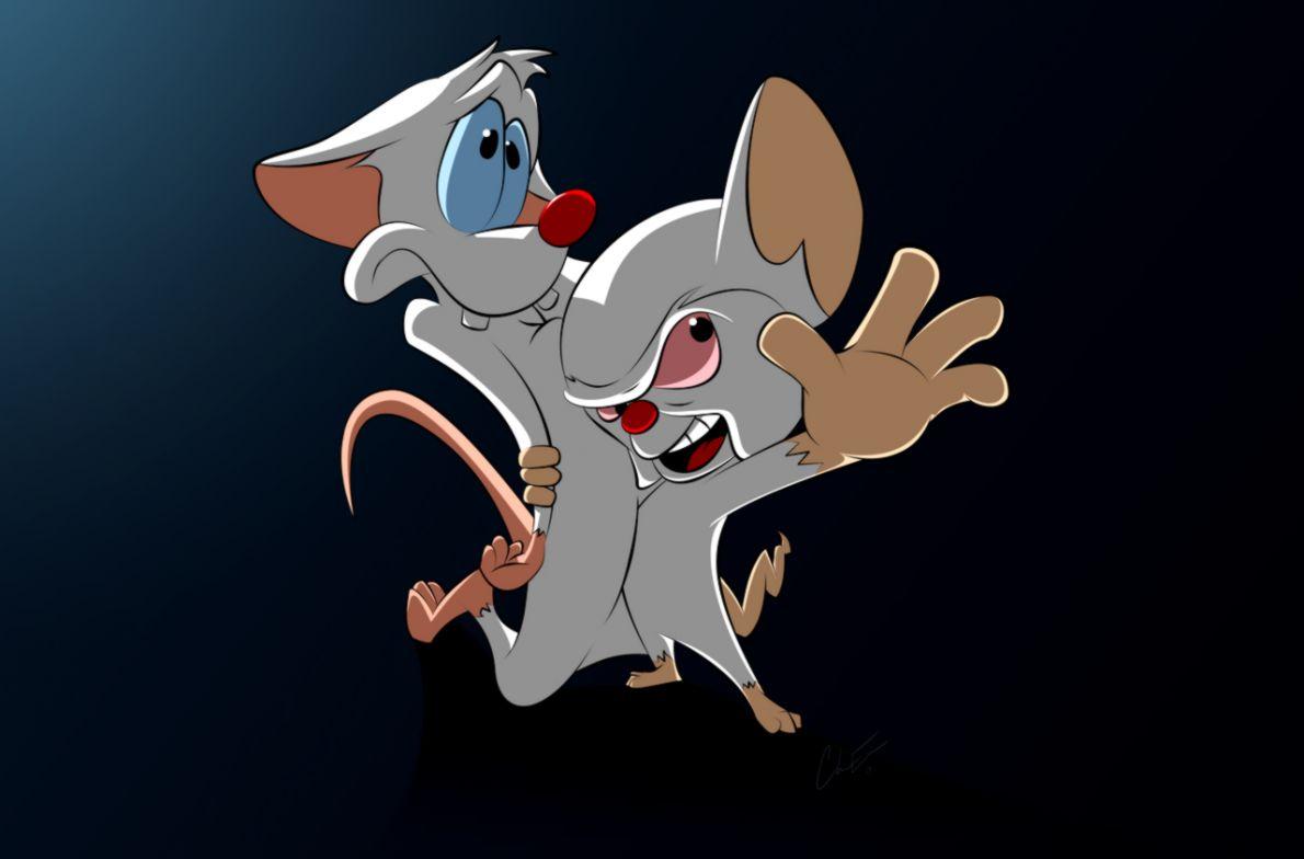 Pinky And The Brain Wallpapers 15