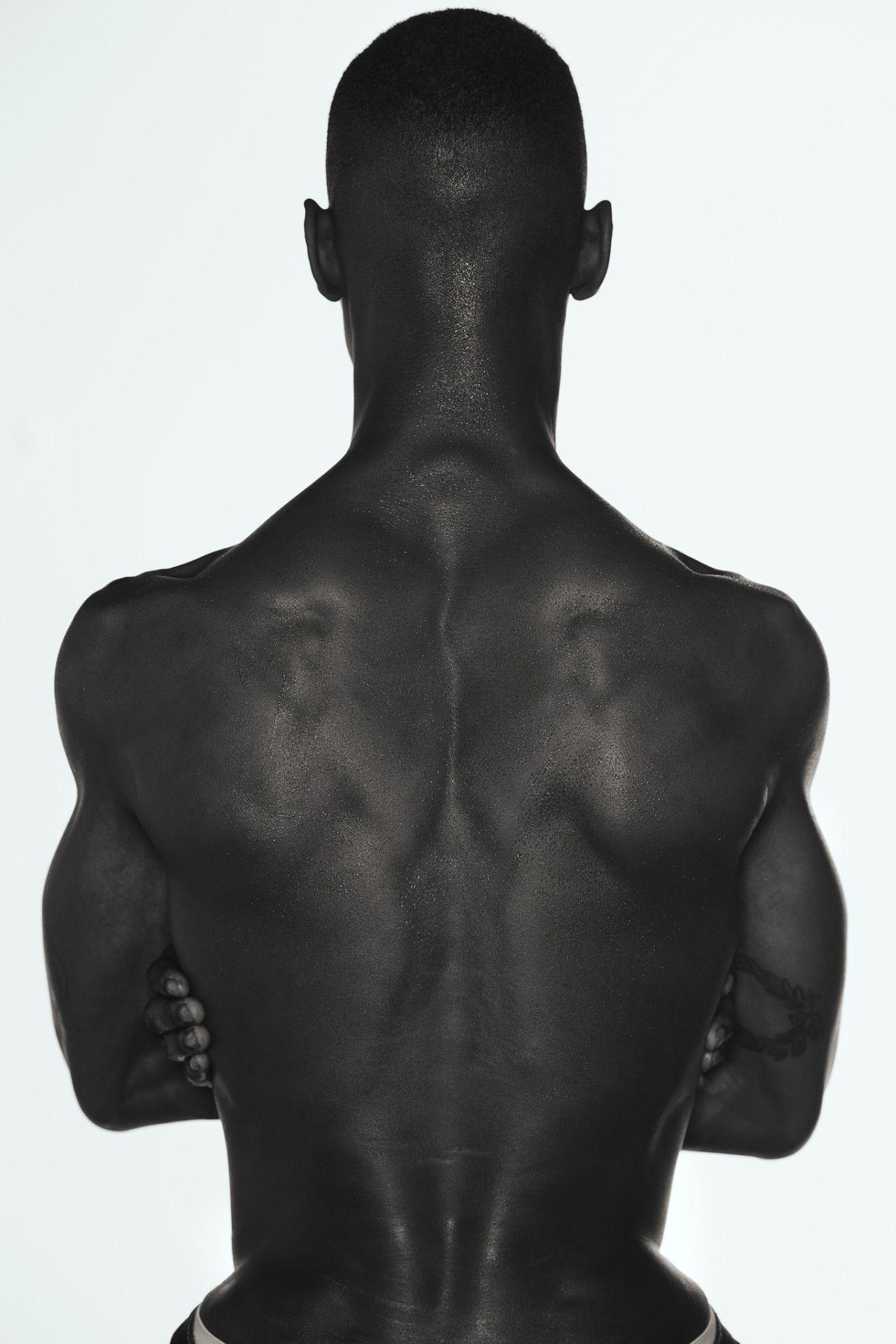 Adonis Bosso by Kristiina Wilson