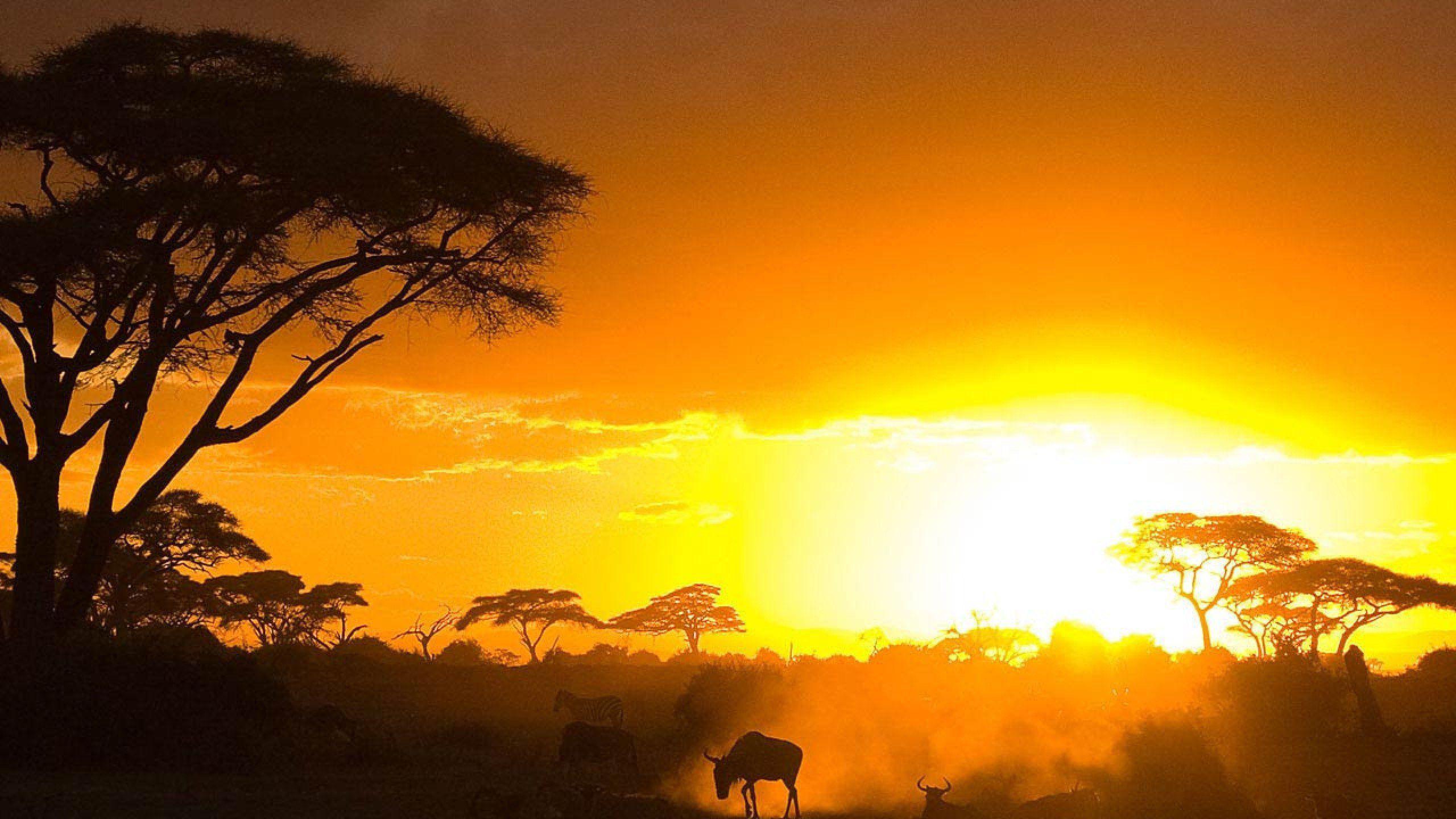 Kenya Sunset Wallpapers