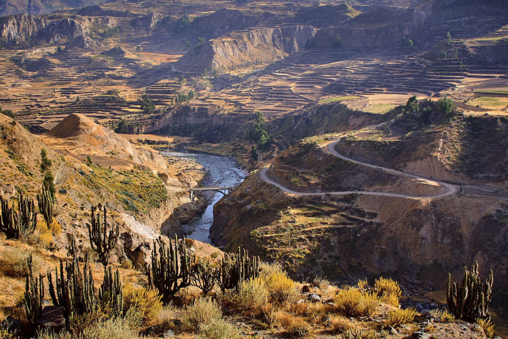 The Ultimate Trekking Guide to the Colca Canyon, Peru