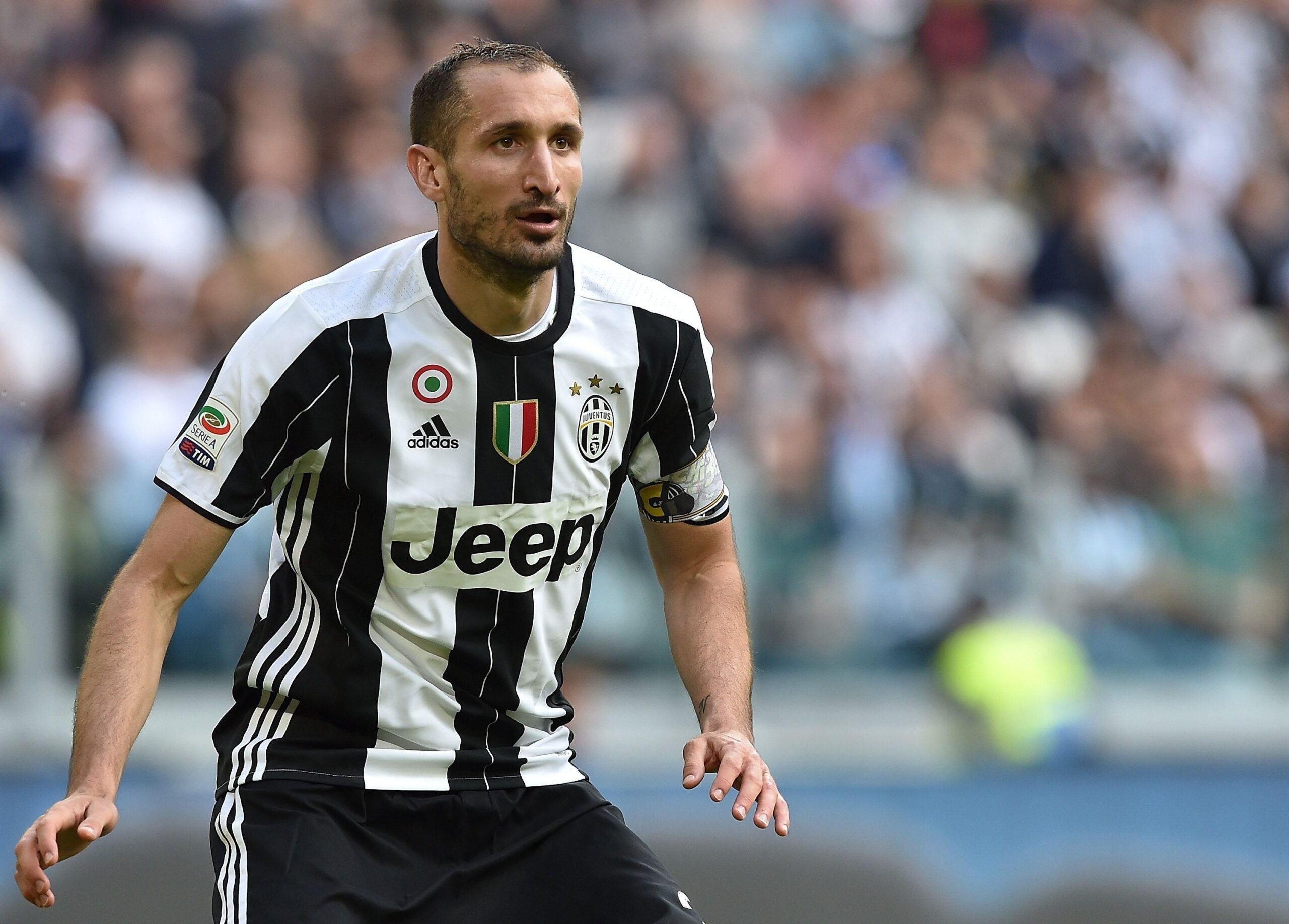 Giorgio Chiellini Hd